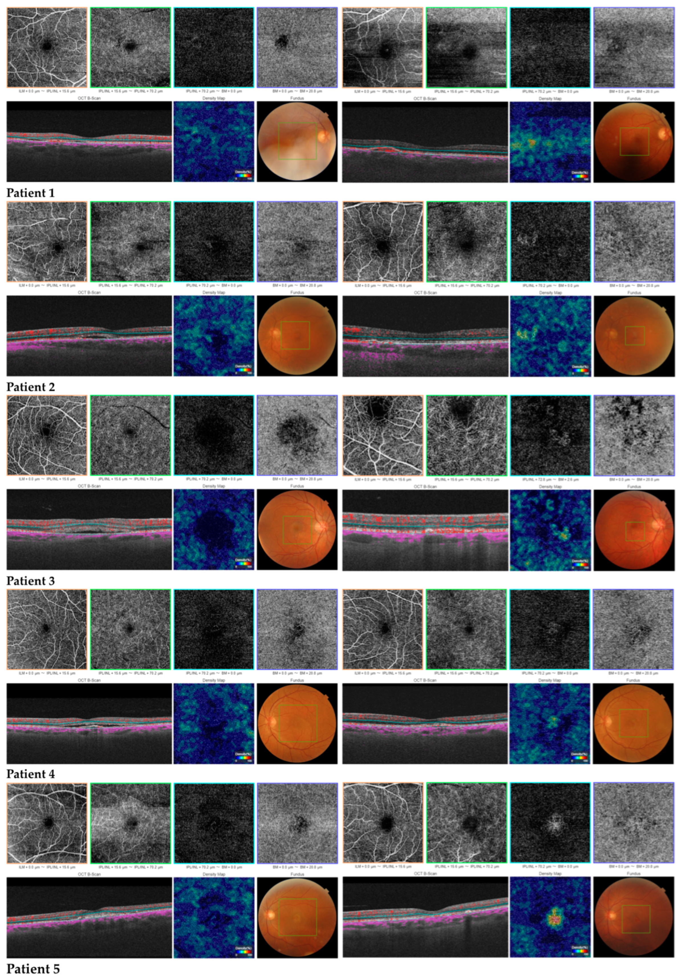 Diagnostics 13 02792 g001