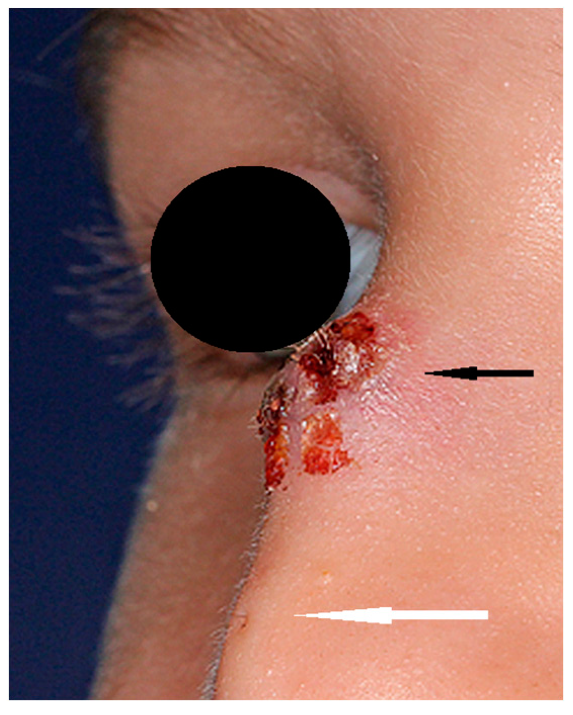 Diagnostics 13 02796 g001