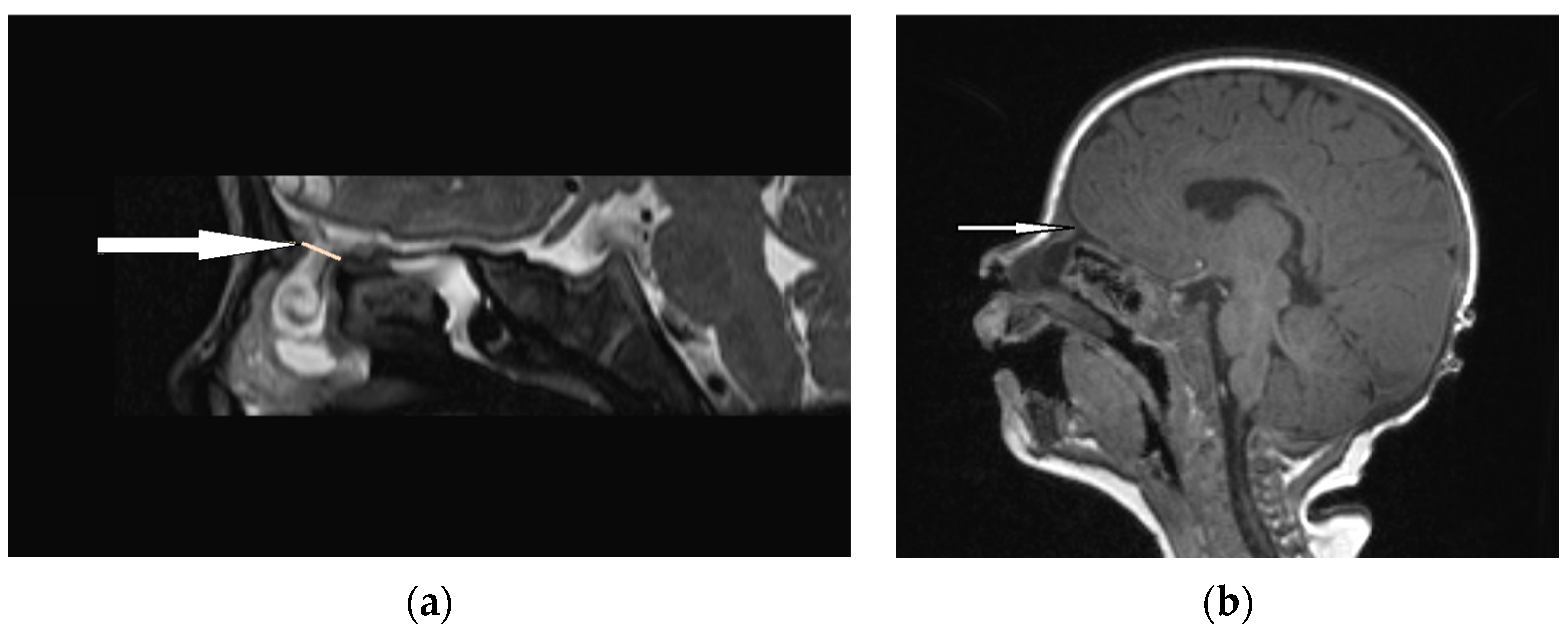 Diagnostics 13 02796 g006