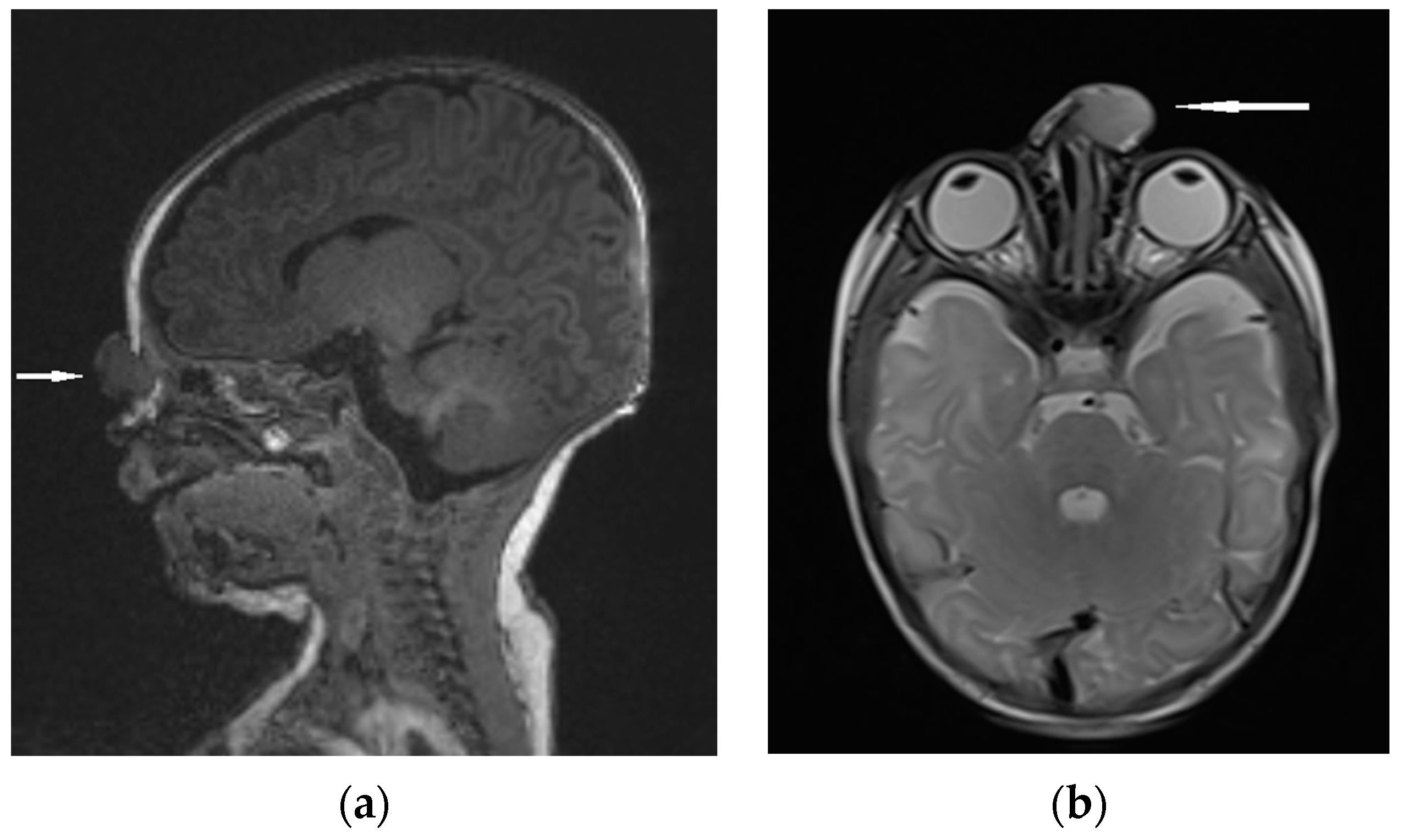 Diagnostics 13 02796 g008