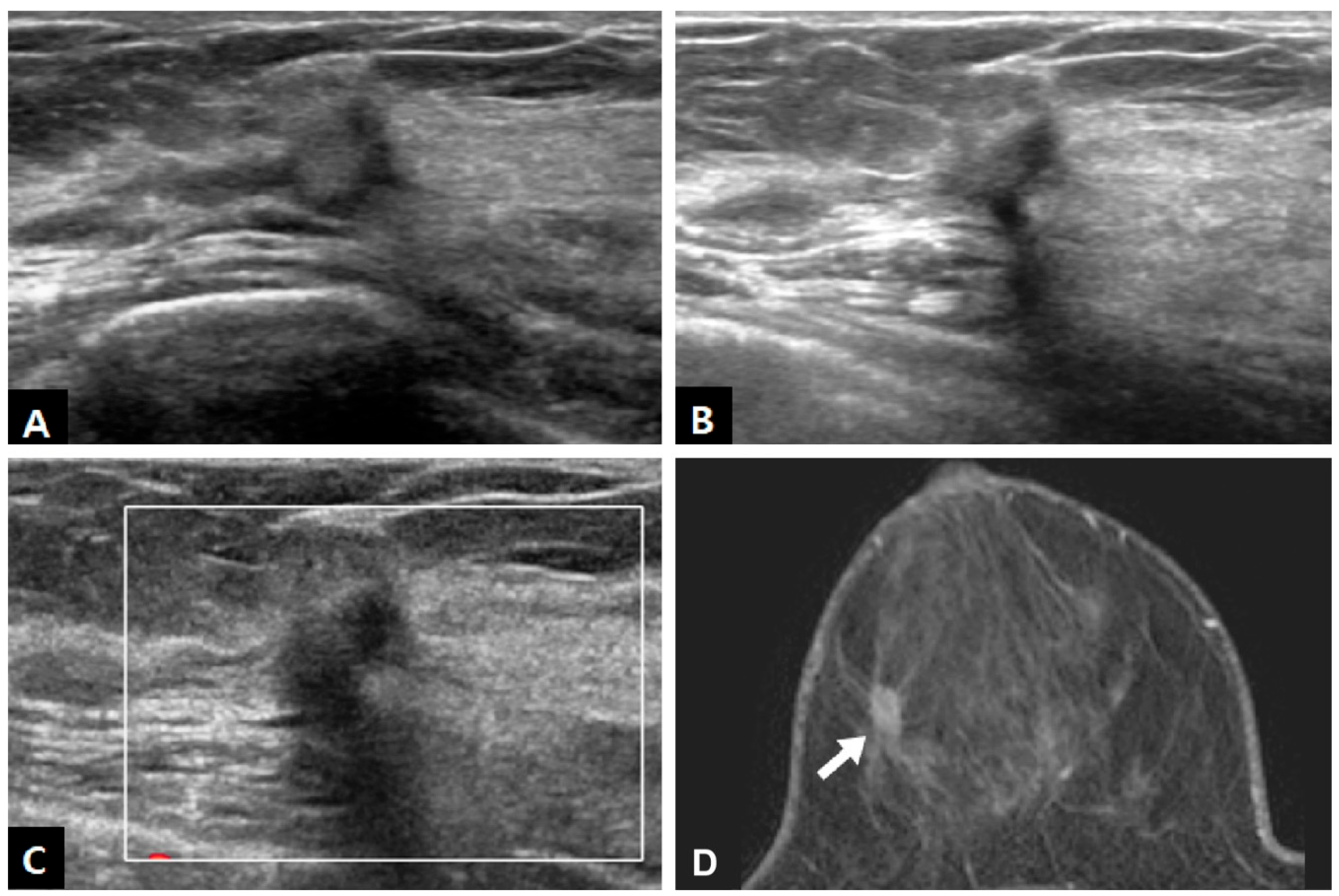 Diagnostics 13 02800 g003