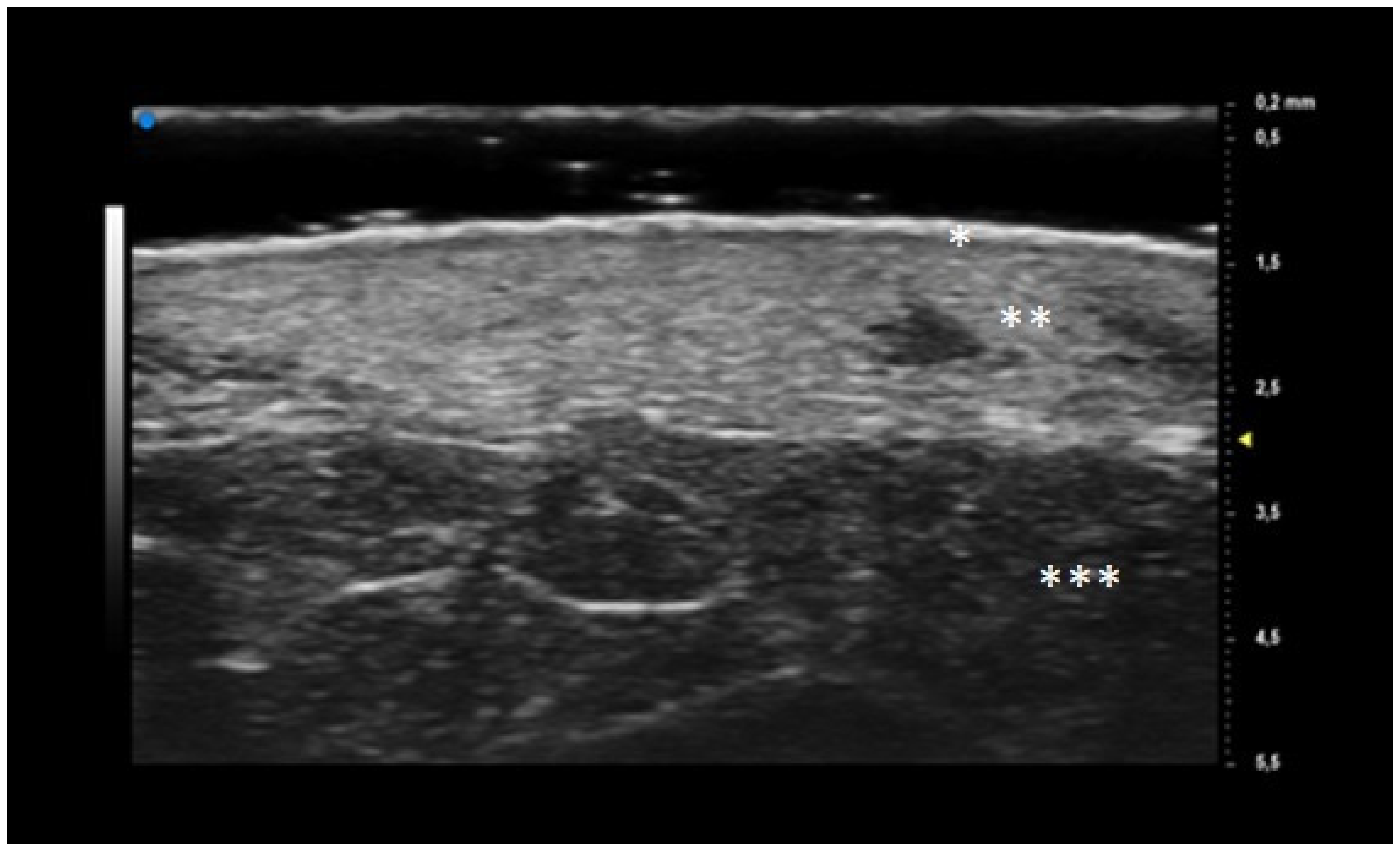 Diagnostics 13 02802 g001