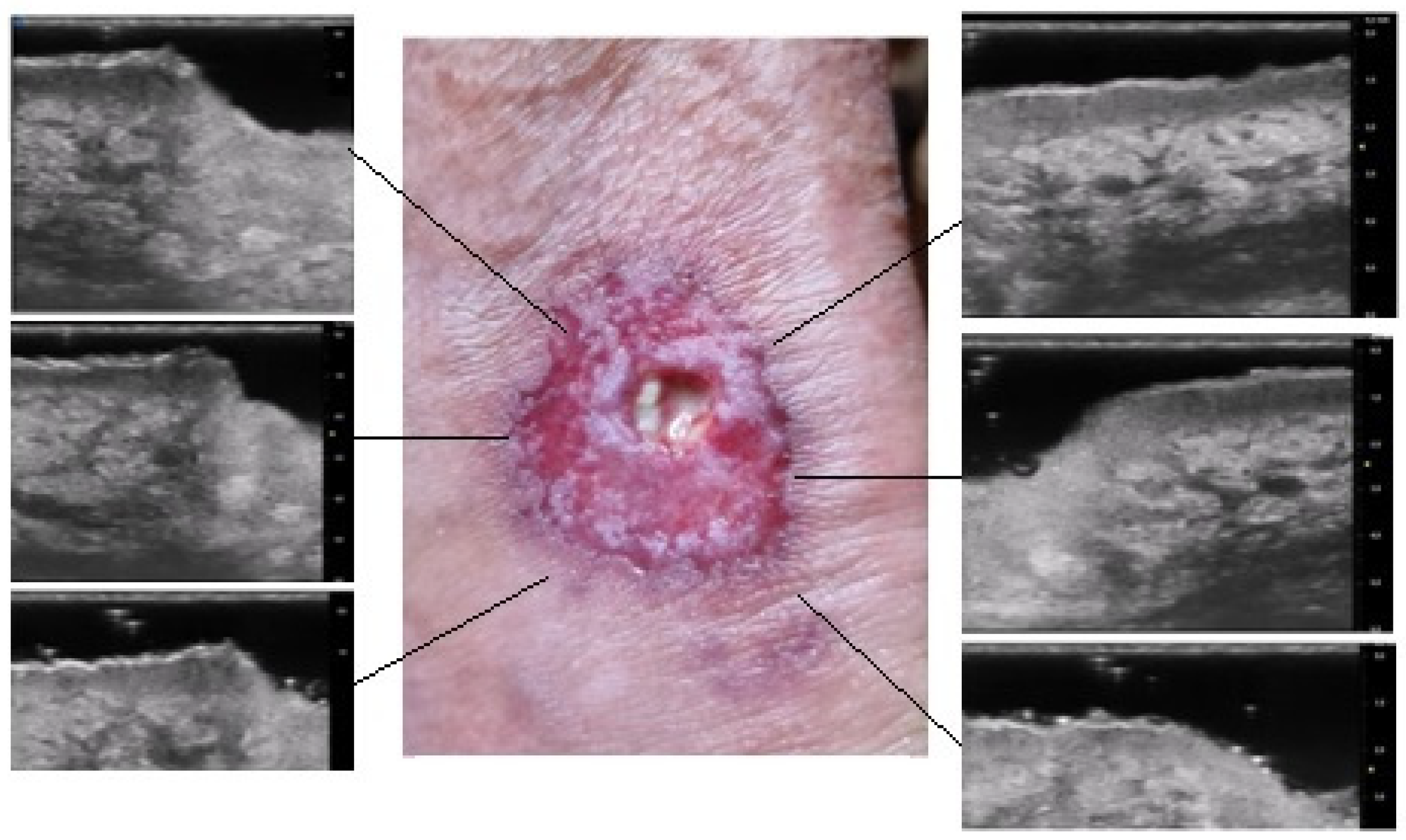 Diagnostics 13 02802 g004