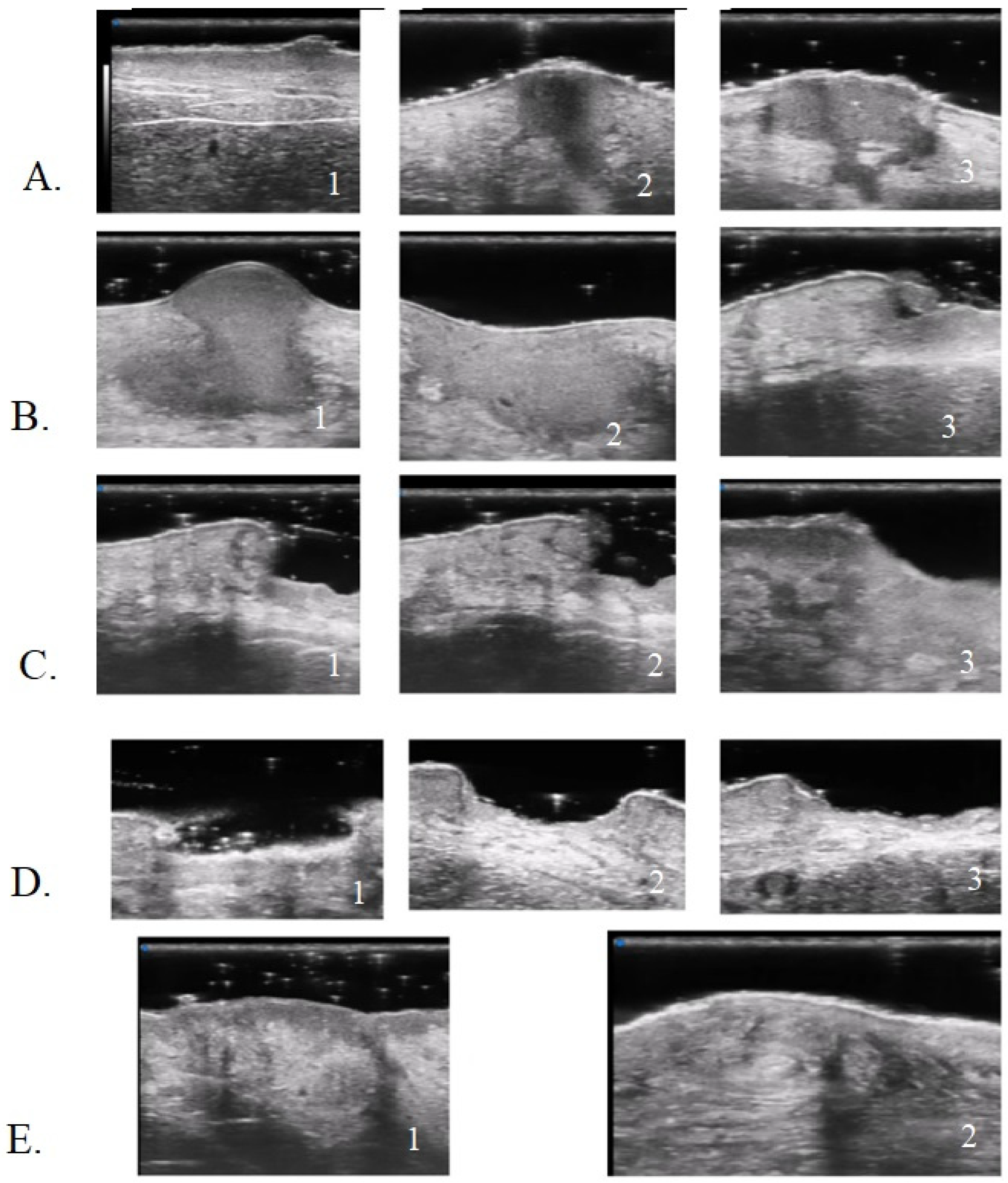 Diagnostics 13 02802 g007