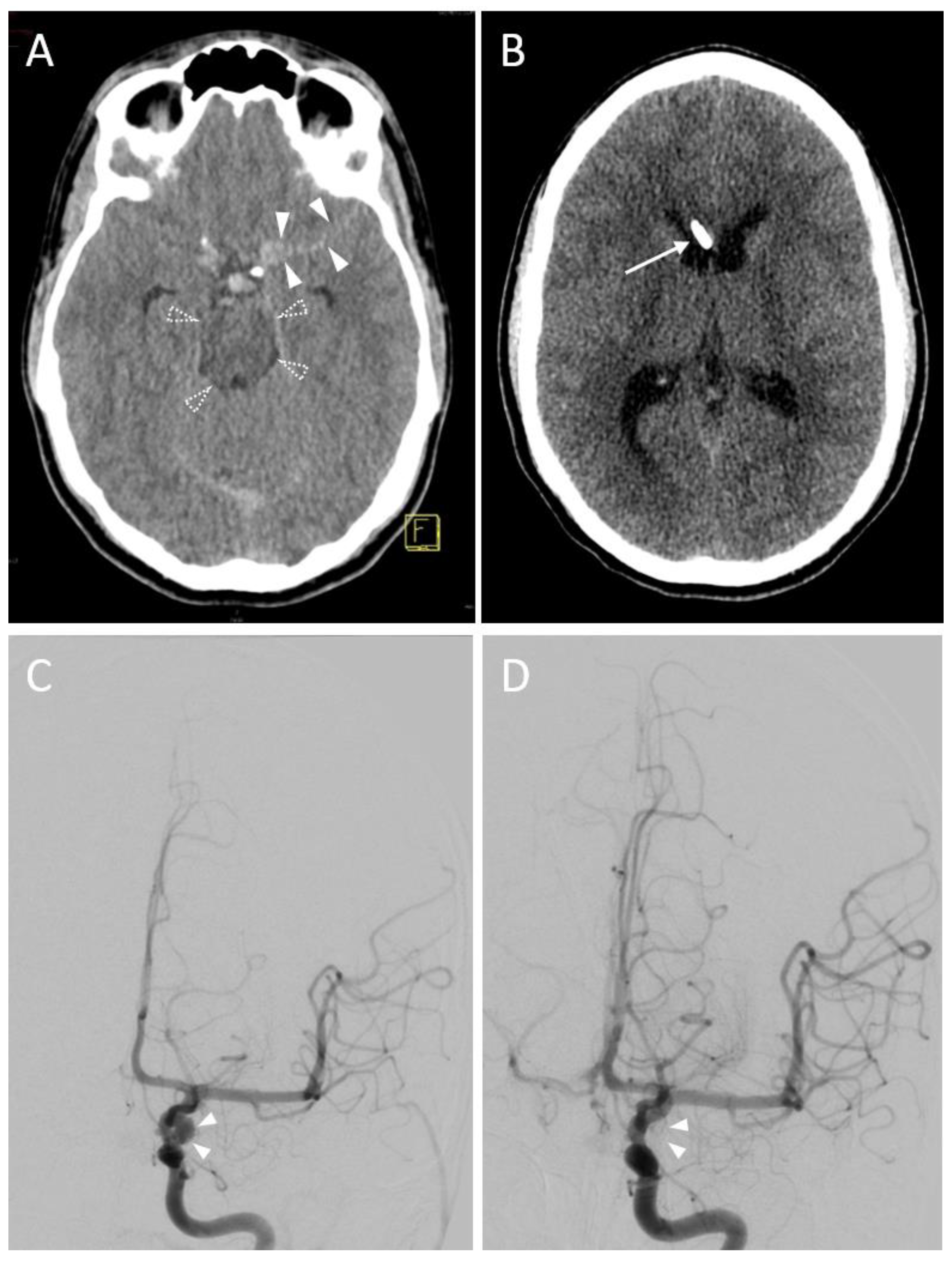 Diagnostics 13 02805 g002