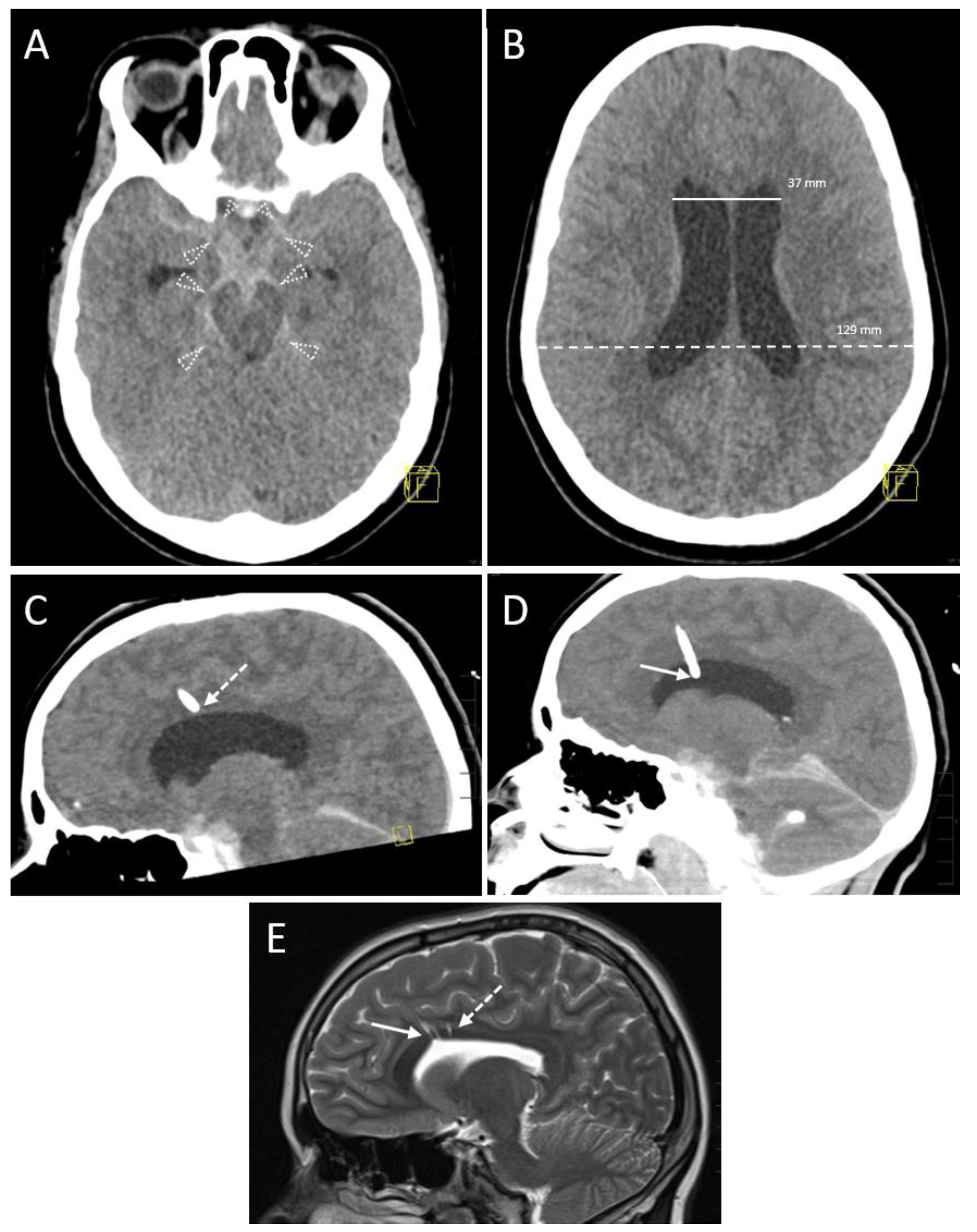 Diagnostics 13 02805 g003