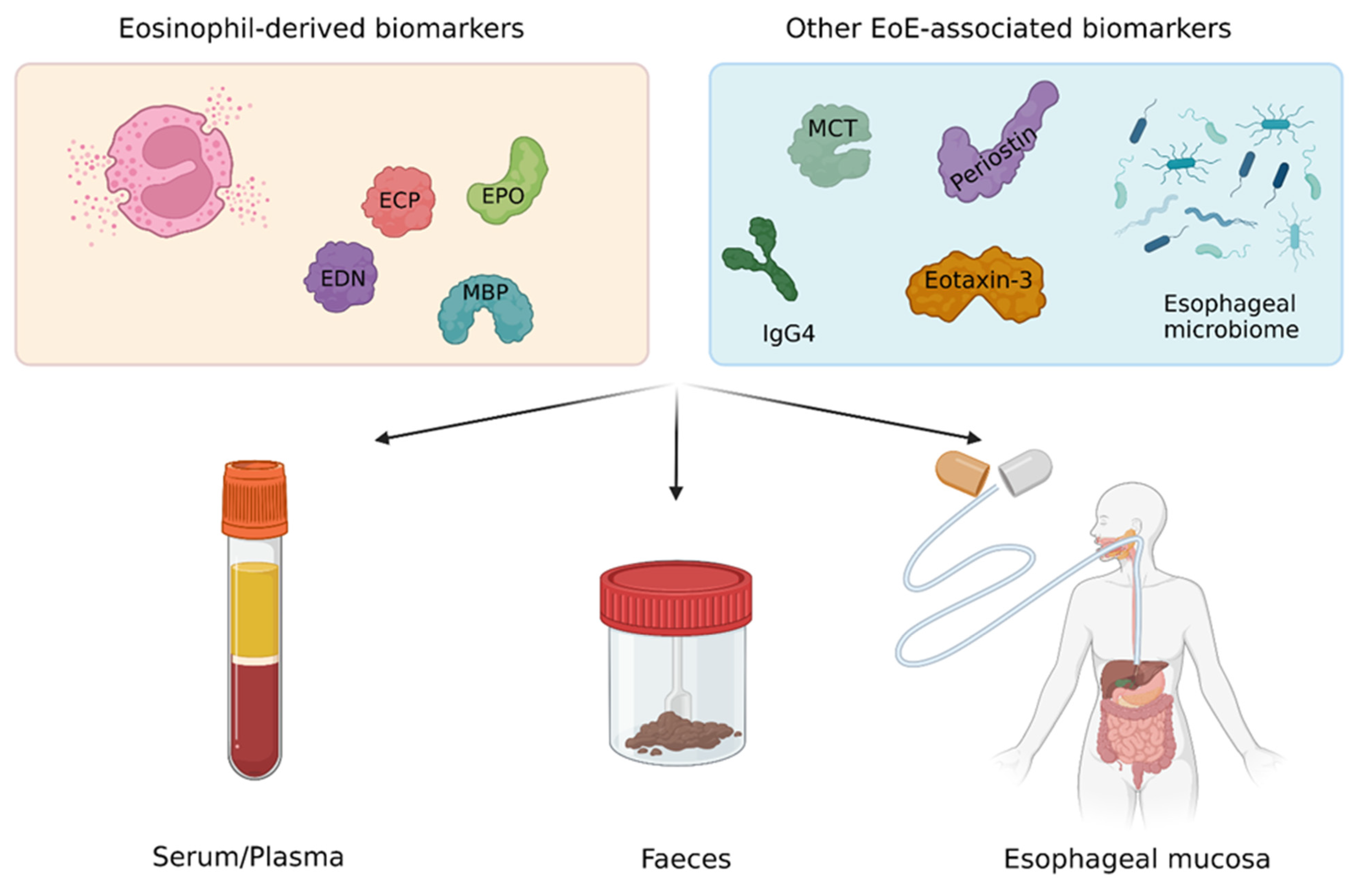 Diagnostics 13 02806 g001 Diagnostics 13 02806 g001