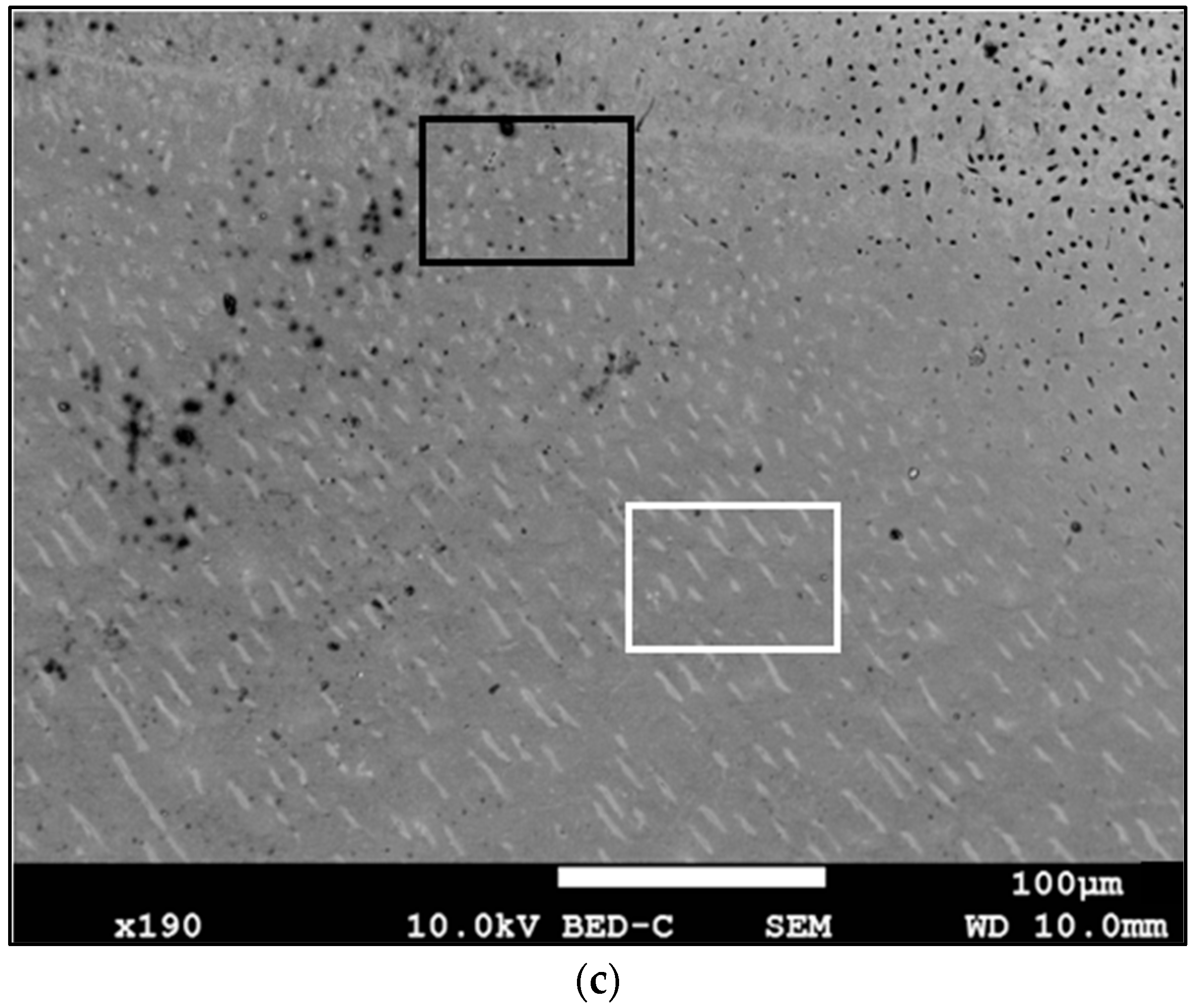 Diagnostics 13 02808 g001b