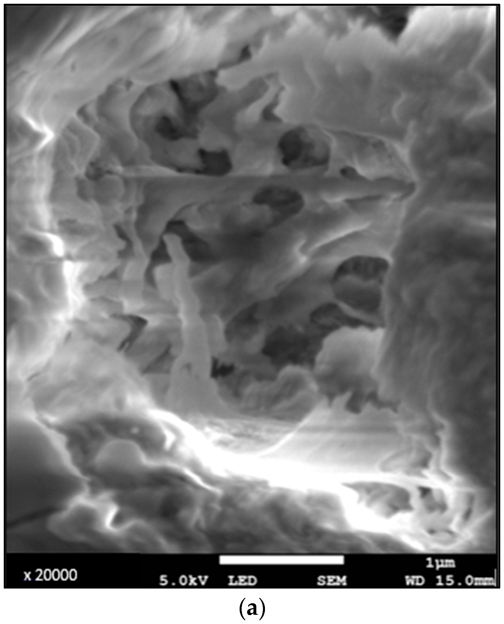 Diagnostics 13 02808 g002a