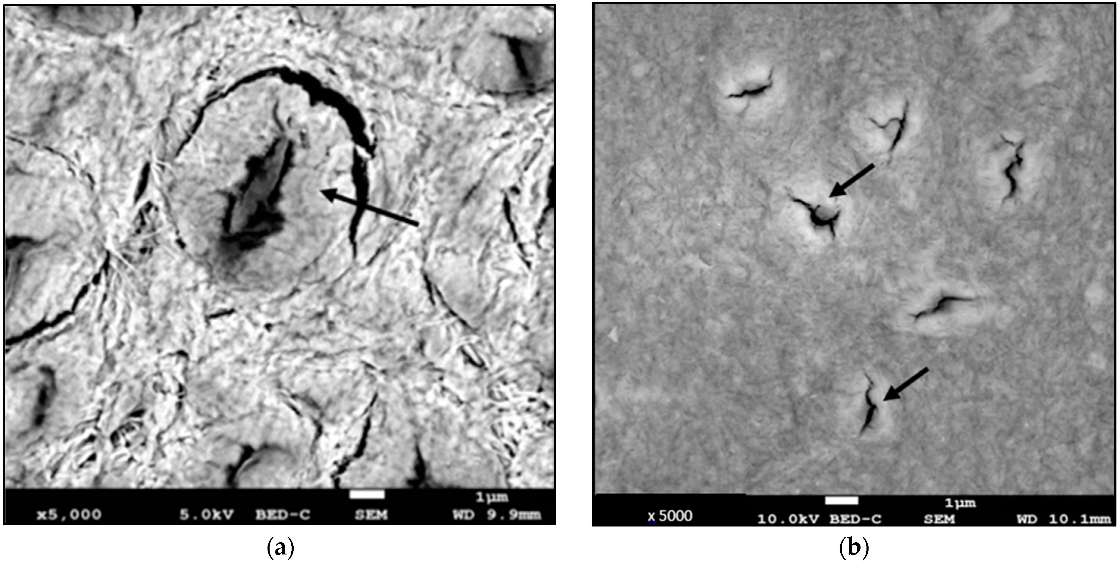 Diagnostics 13 02808 g003a