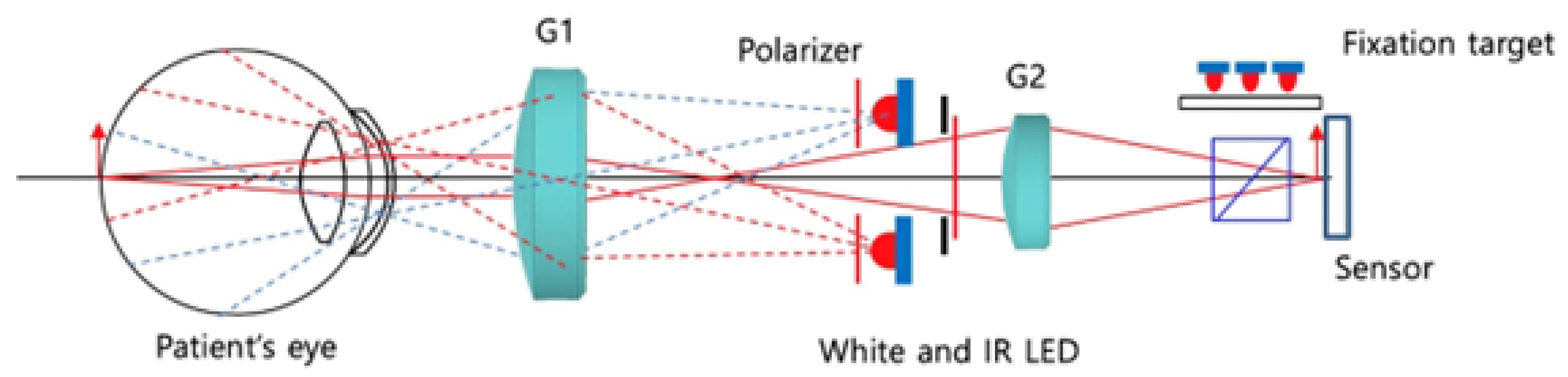 Diagnostics 13 02810 g003
