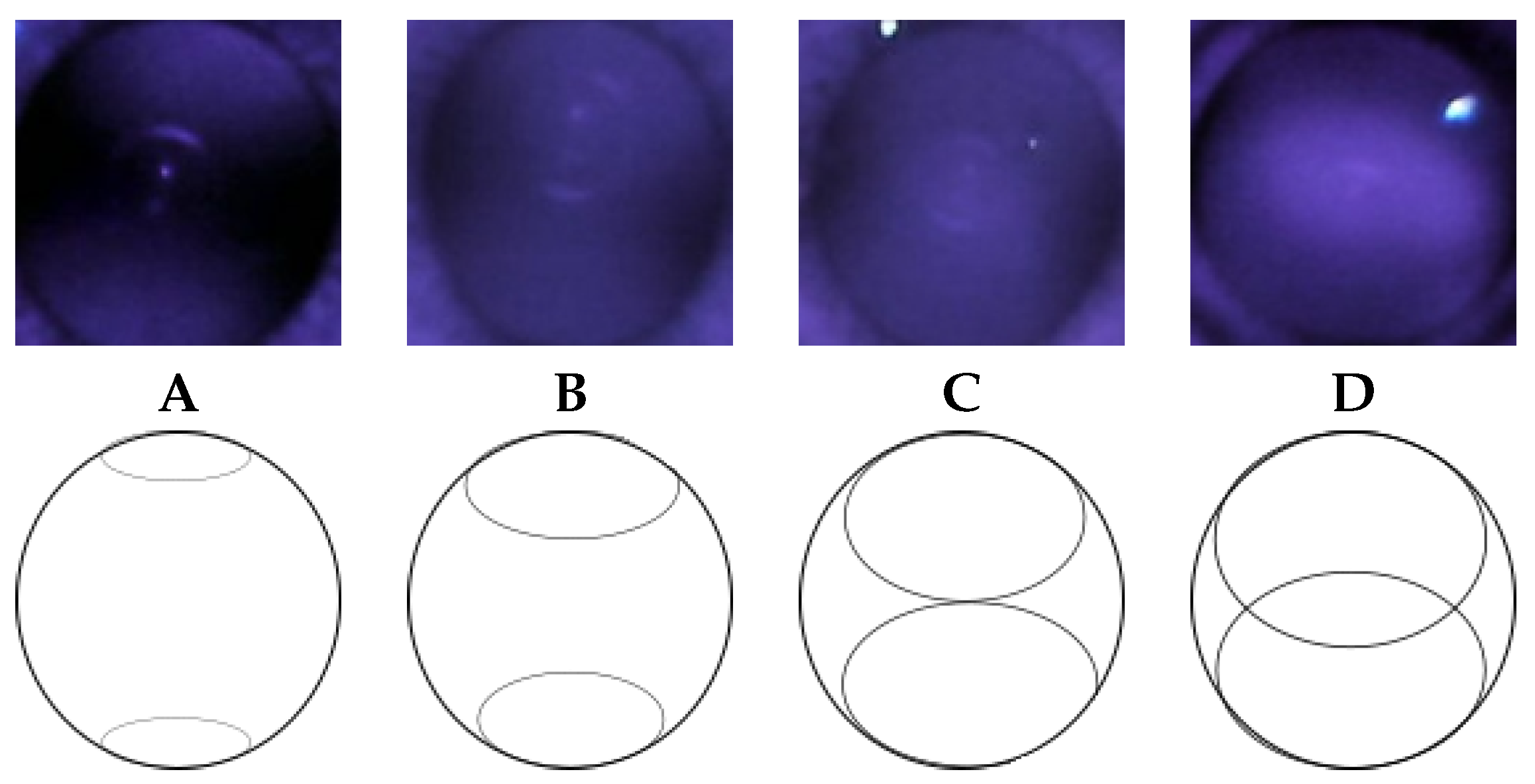 Diagnostics 13 02810 g010