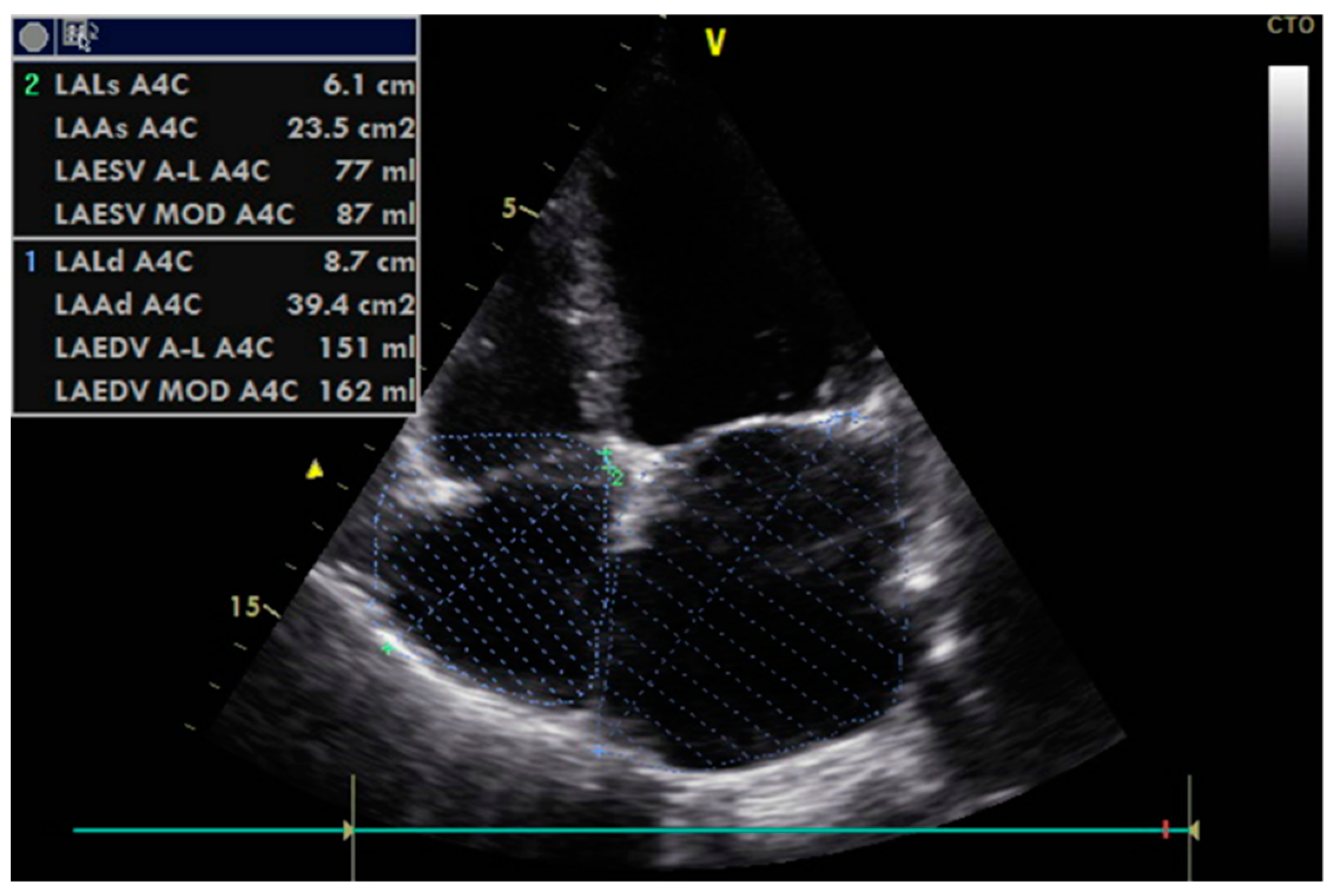 Diagnostics 13 02817 g003