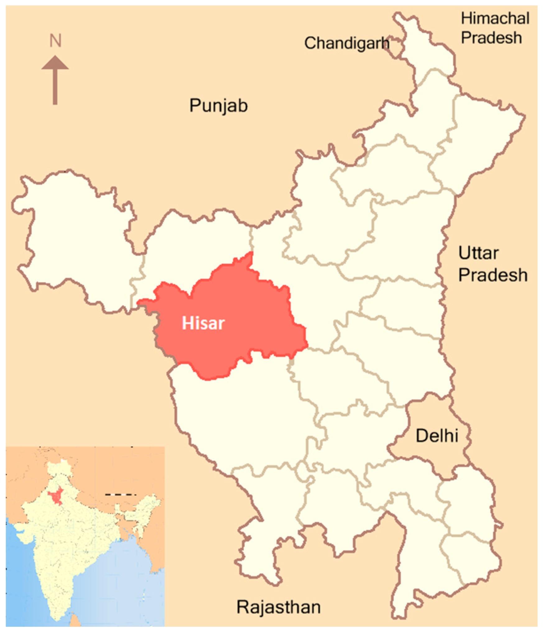 Diagnostics 13 02823 g001