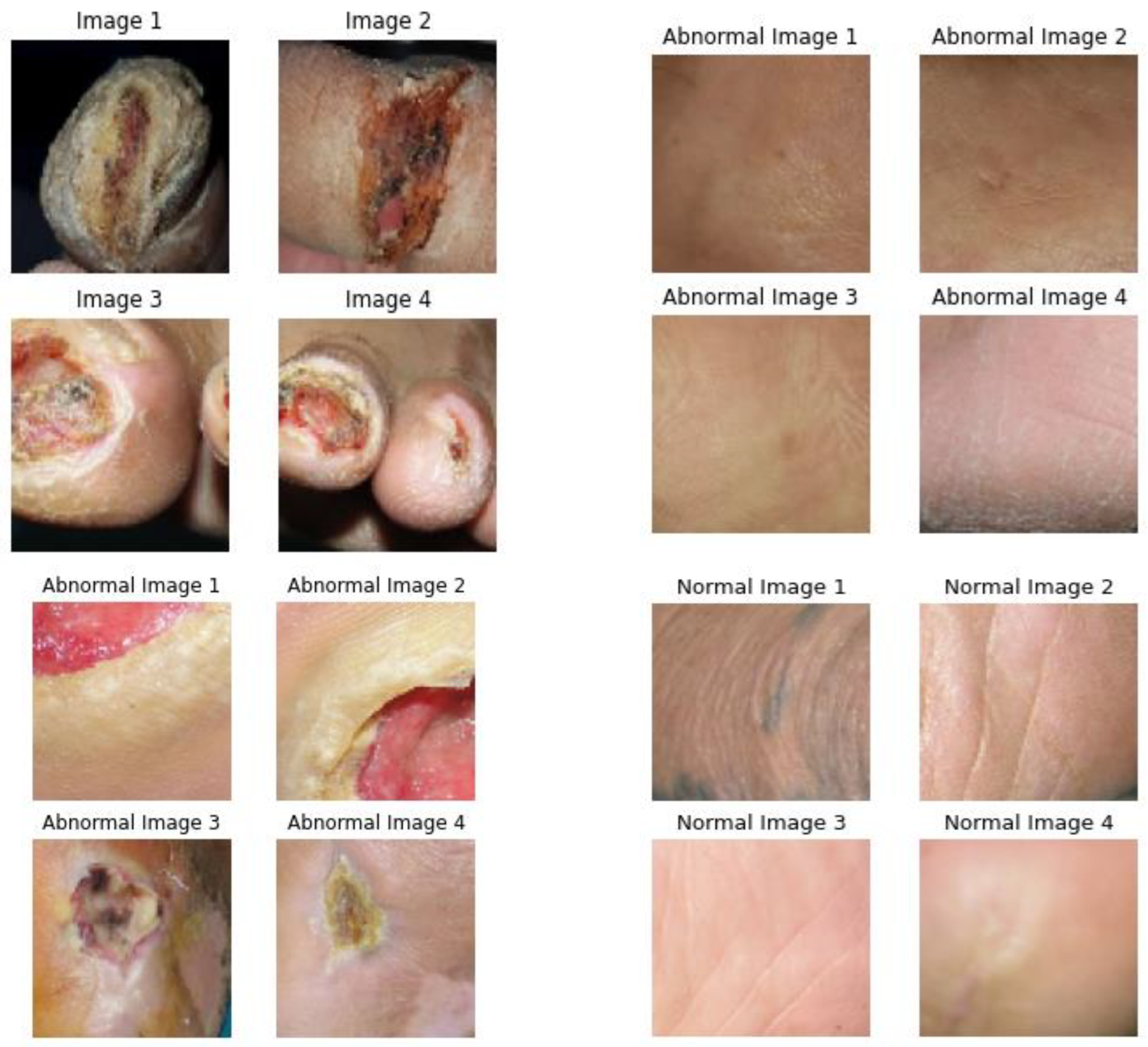 Diagnostics 13 02831 g004