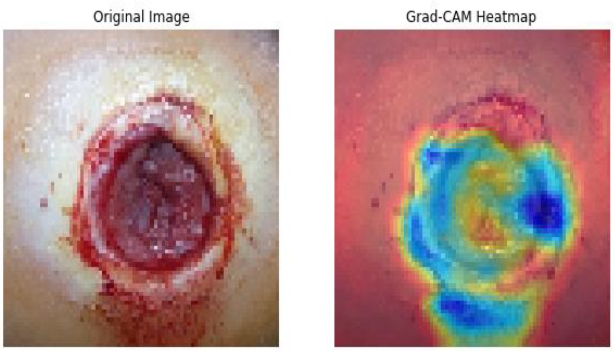 Diagnostics 13 02831 g010b