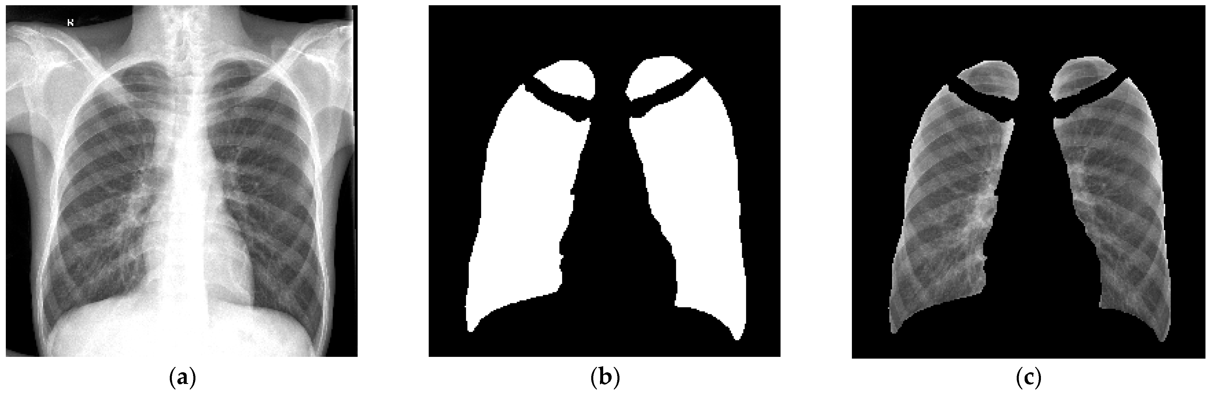 Diagnostics 13 02842 g002