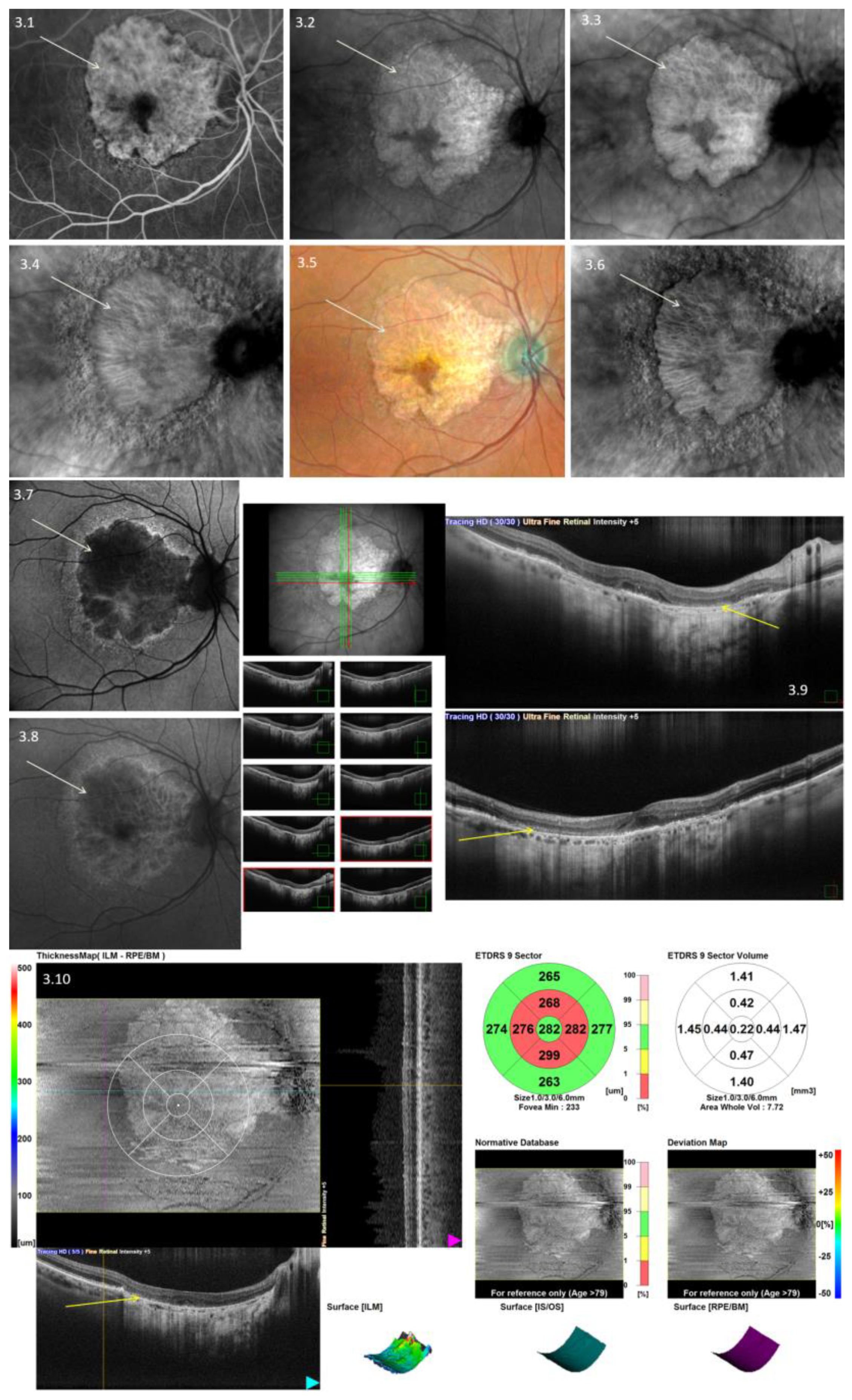 Diagnostics 13 02846 g003