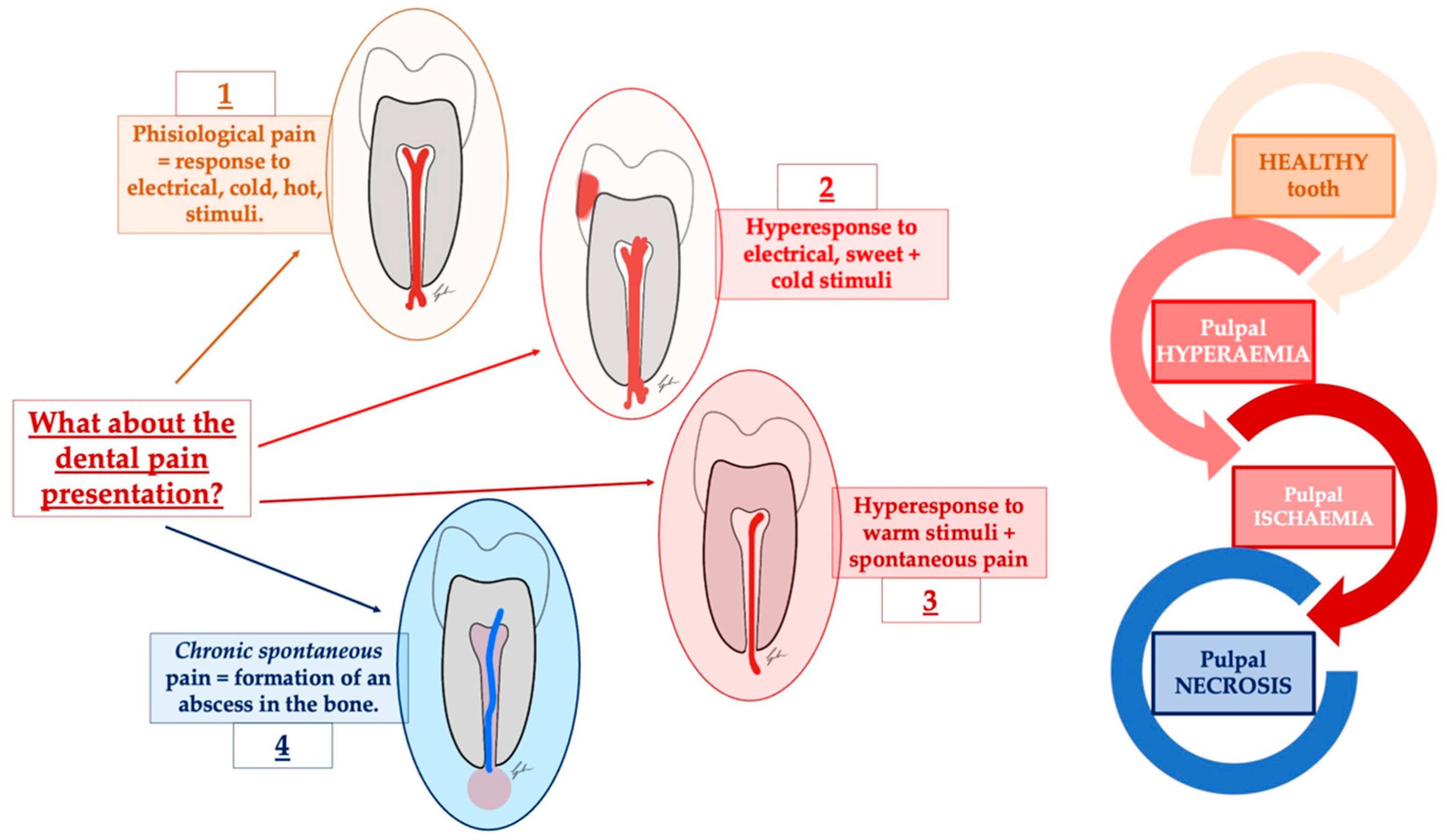 diagnostics-free-full-text-orofacial-pain-and-dentistry-management