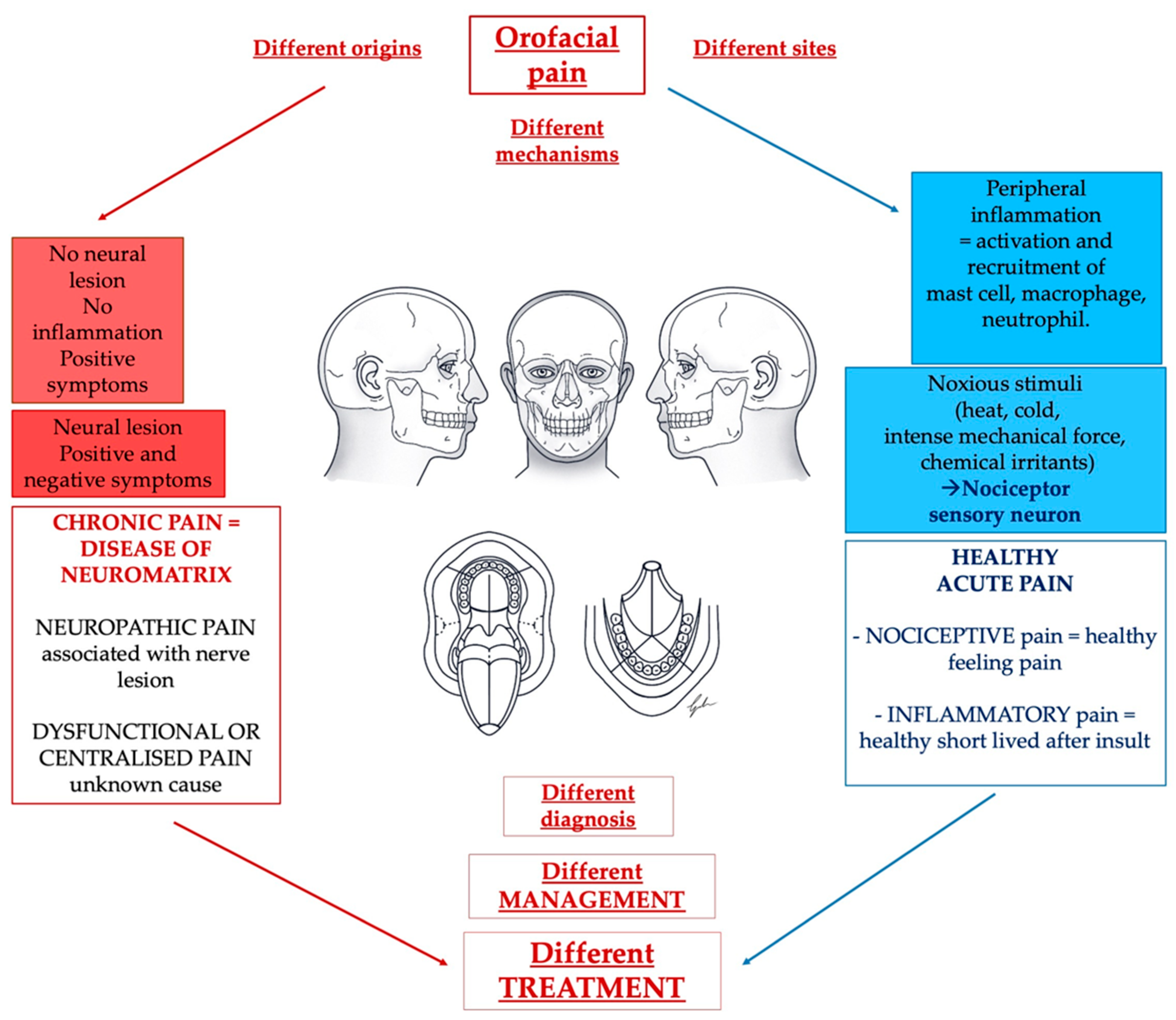 Diagnostics 13 02854 g002 Diagnostics 13 02854 g002