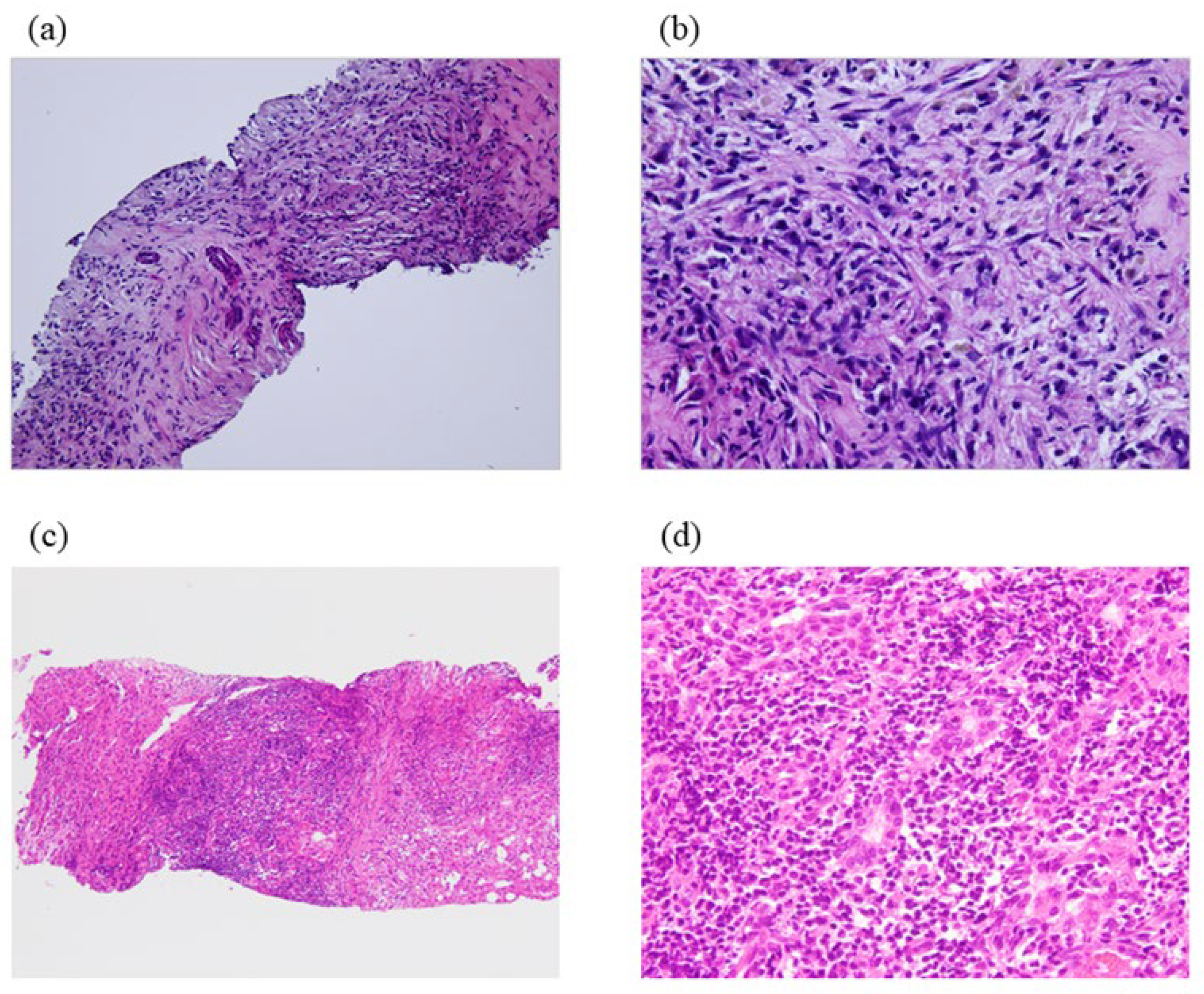 Diagnostics 13 02857 g001 Diagnostics 13 02857 g001