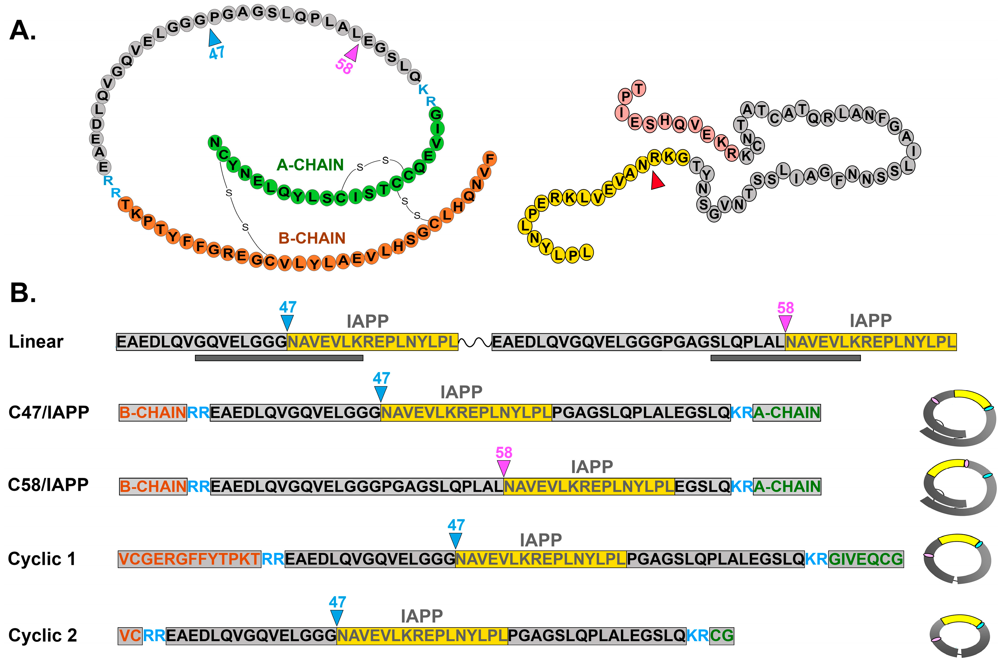 Diagnostics 13 02859 g001 Diagnostics 13 02859 g001