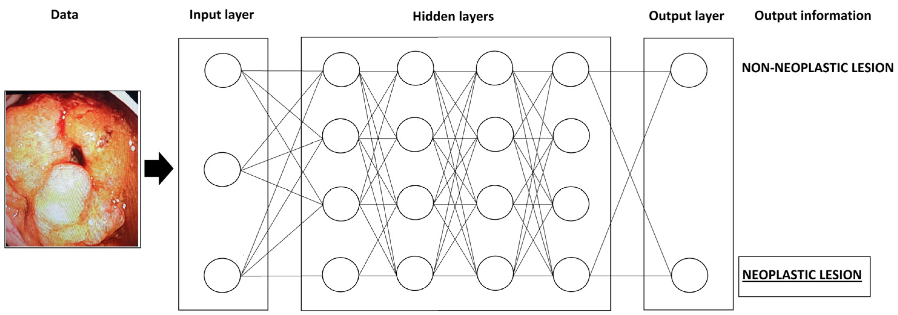 Diagnostics 13 02862 g001