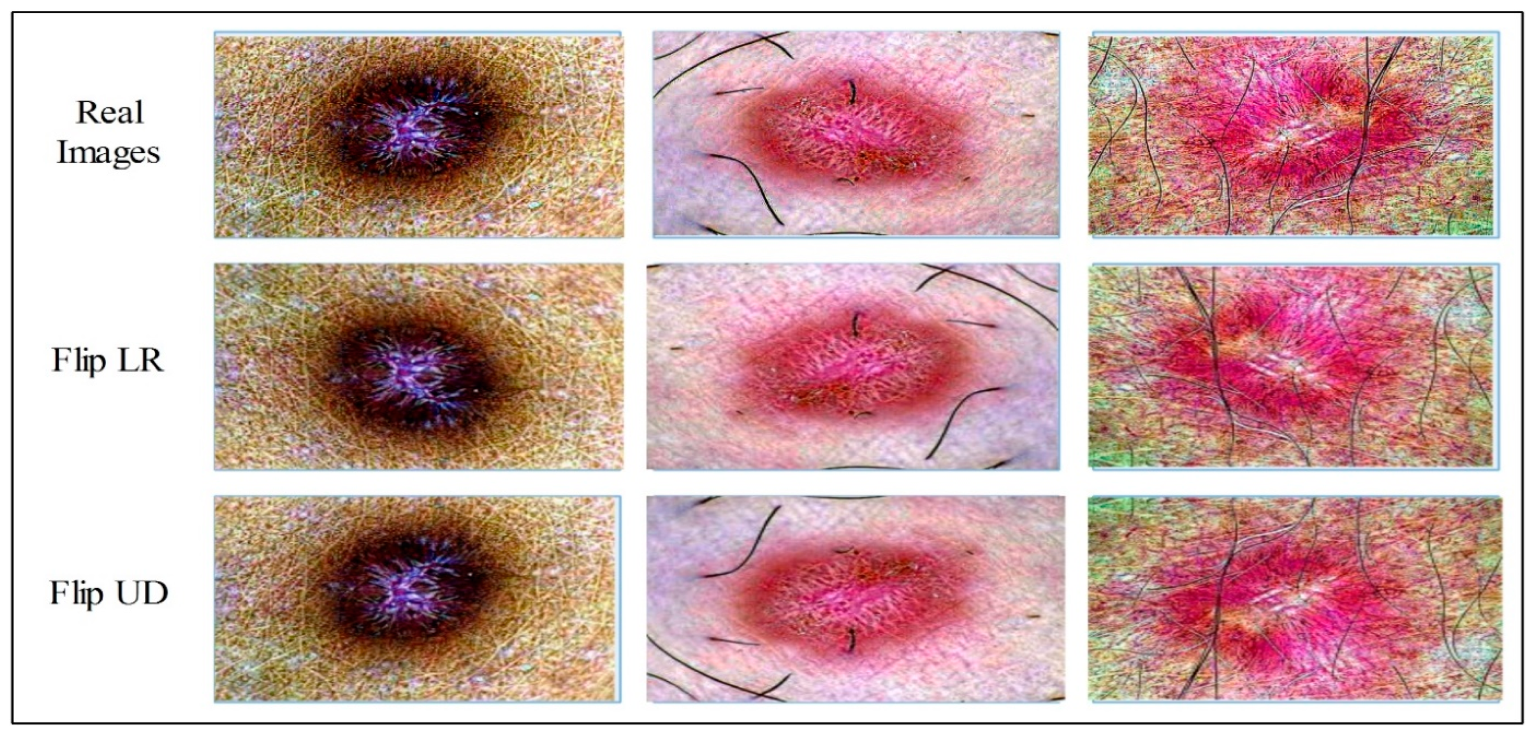 Diagnostics 13 02869 g004