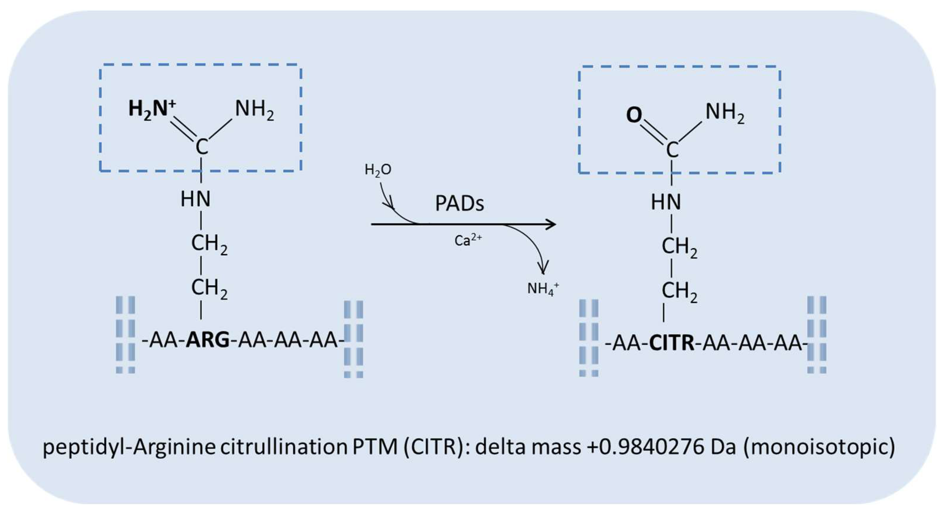 Diagnostics 13 02872 g001