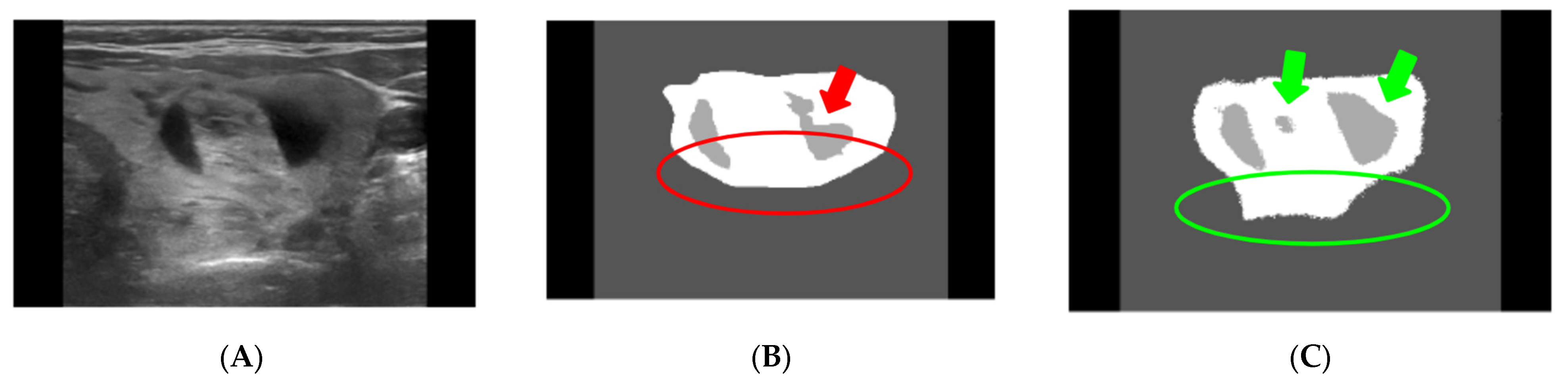 Diagnostics 13 02873 g002 Diagnostics 13 02873 g002