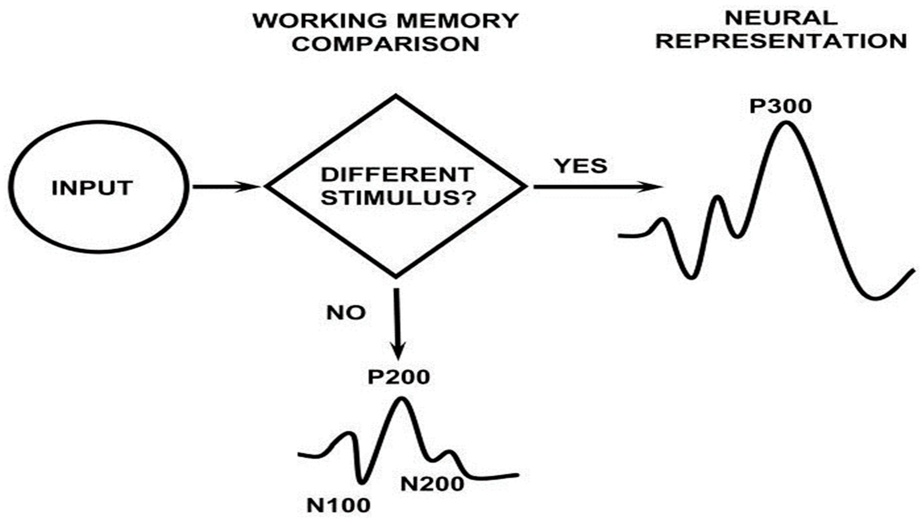 Diagnostics 13 02875 g001