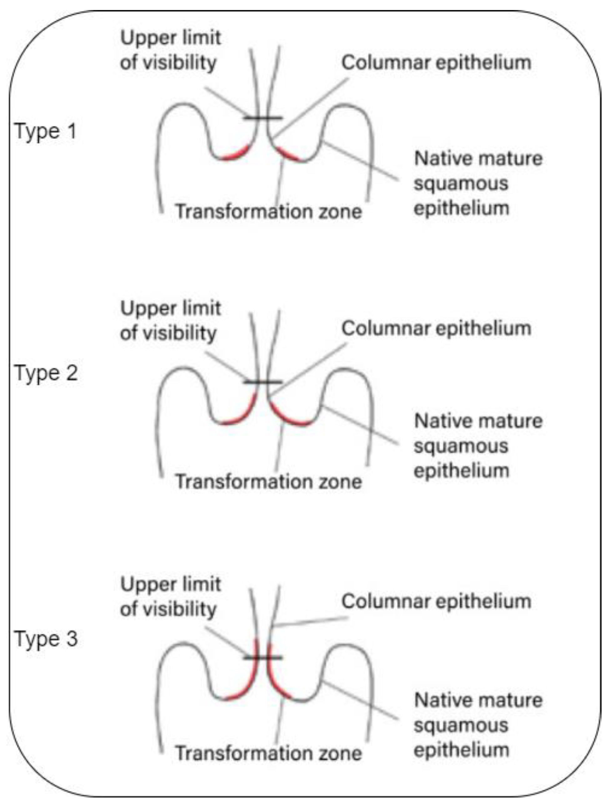 Diagnostics 13 02884 g001