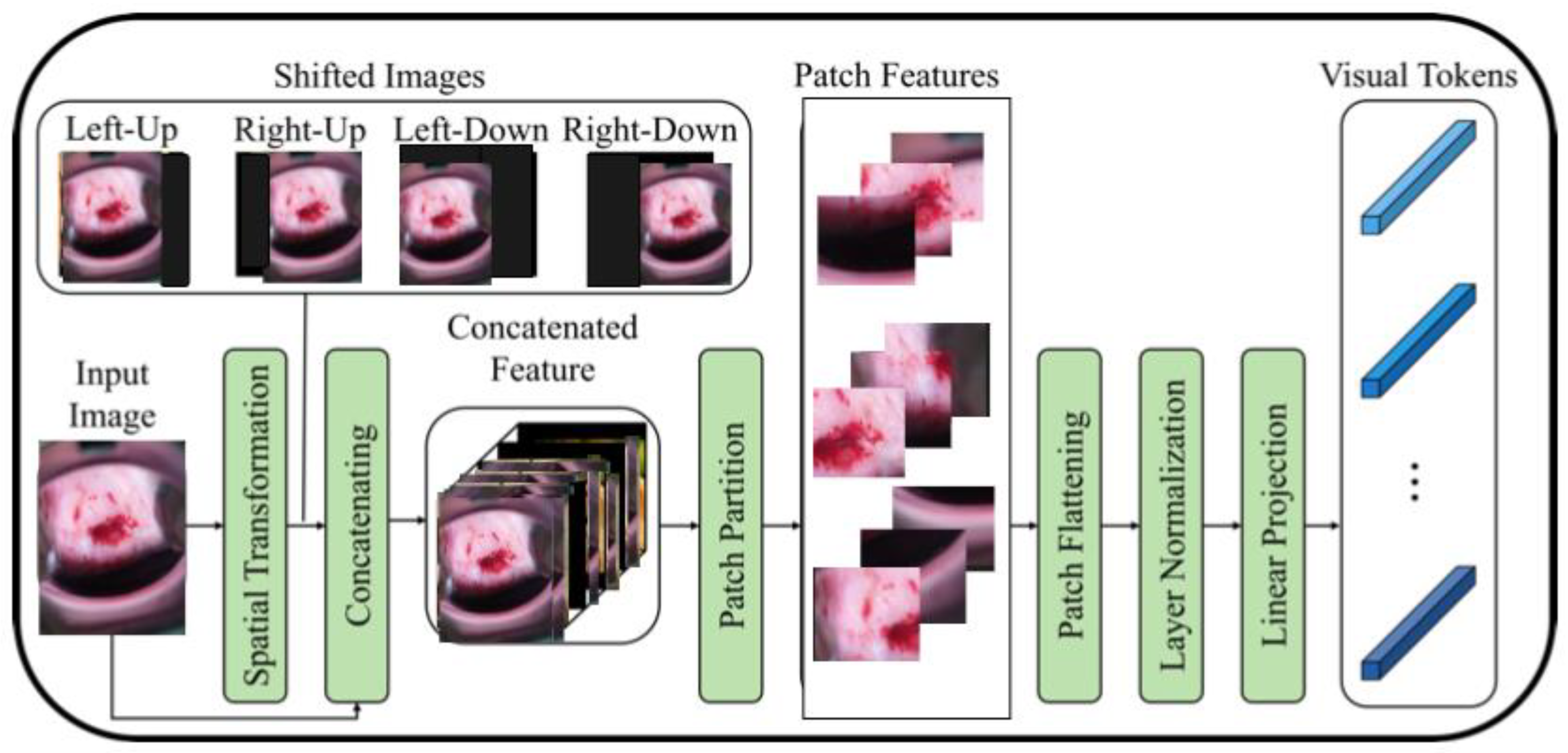 Diagnostics 13 02884 g002