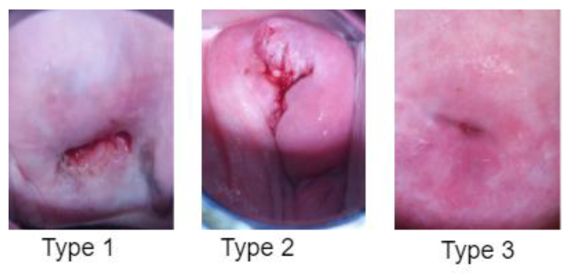 Diagnostics 13 02884 g004
