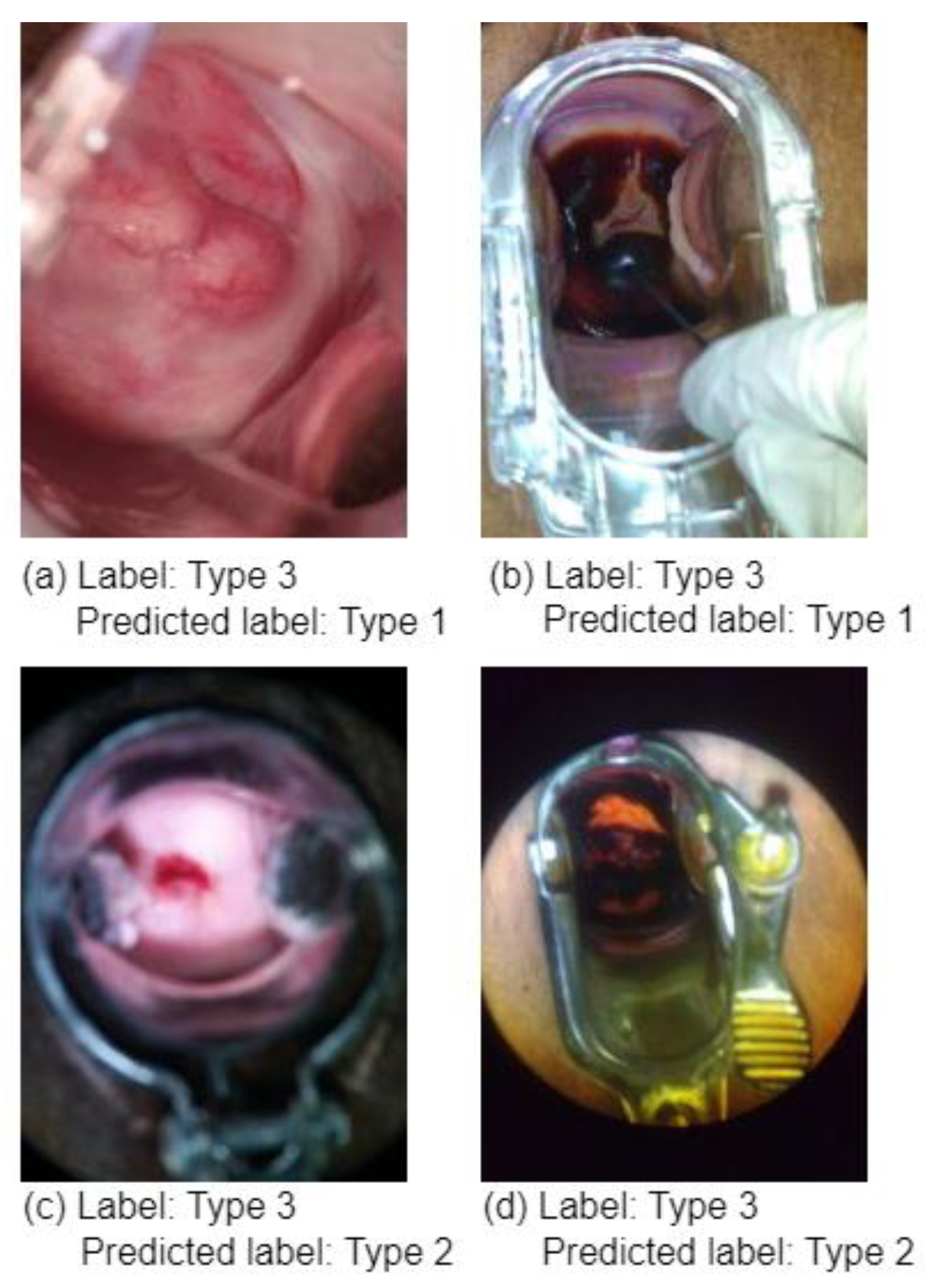 Diagnostics 13 02884 g007