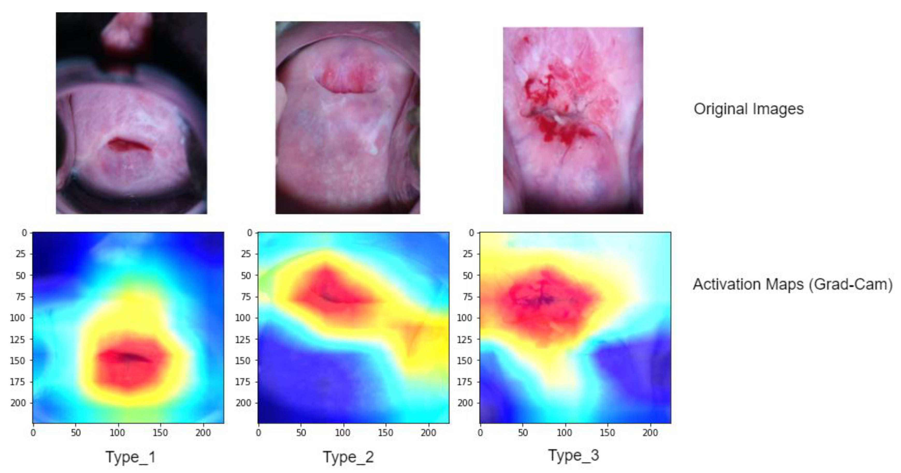 Diagnostics 13 02884 g008