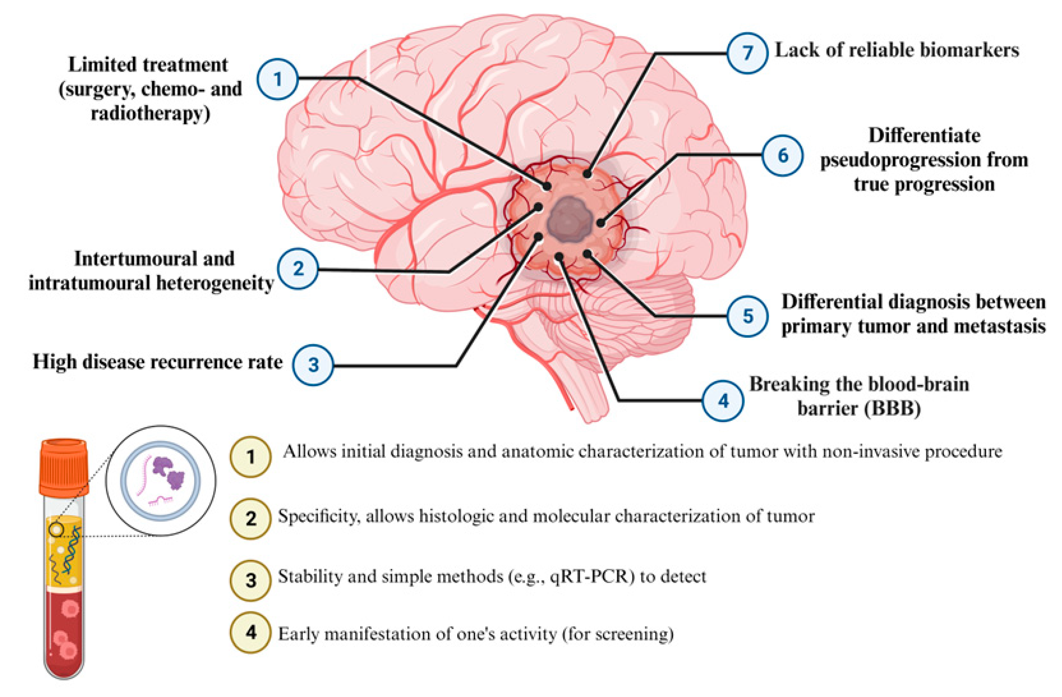 Diagnostics 13 02888 g003