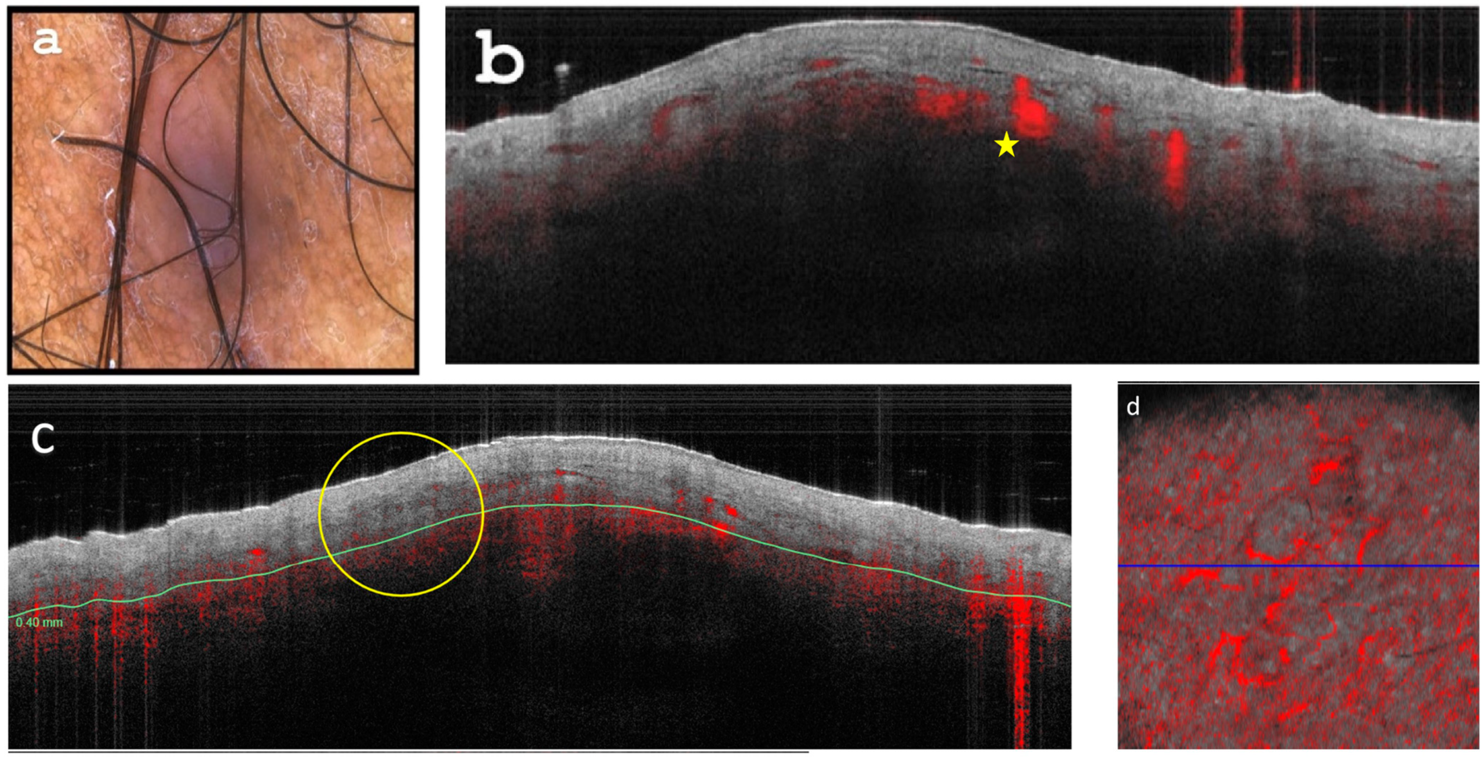 Diagnostics 13 02901 g002