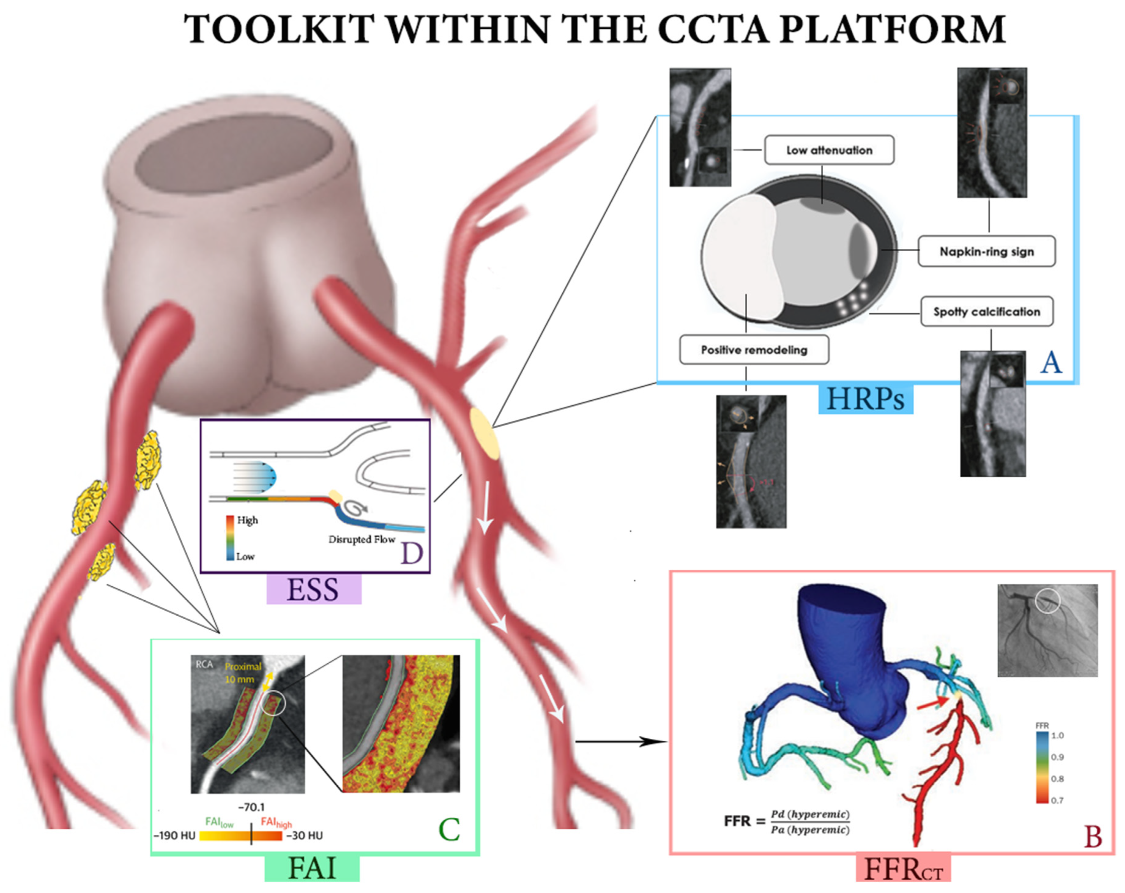 Diagnostics 13 02902 g001 Diagnostics 13 02902 g001