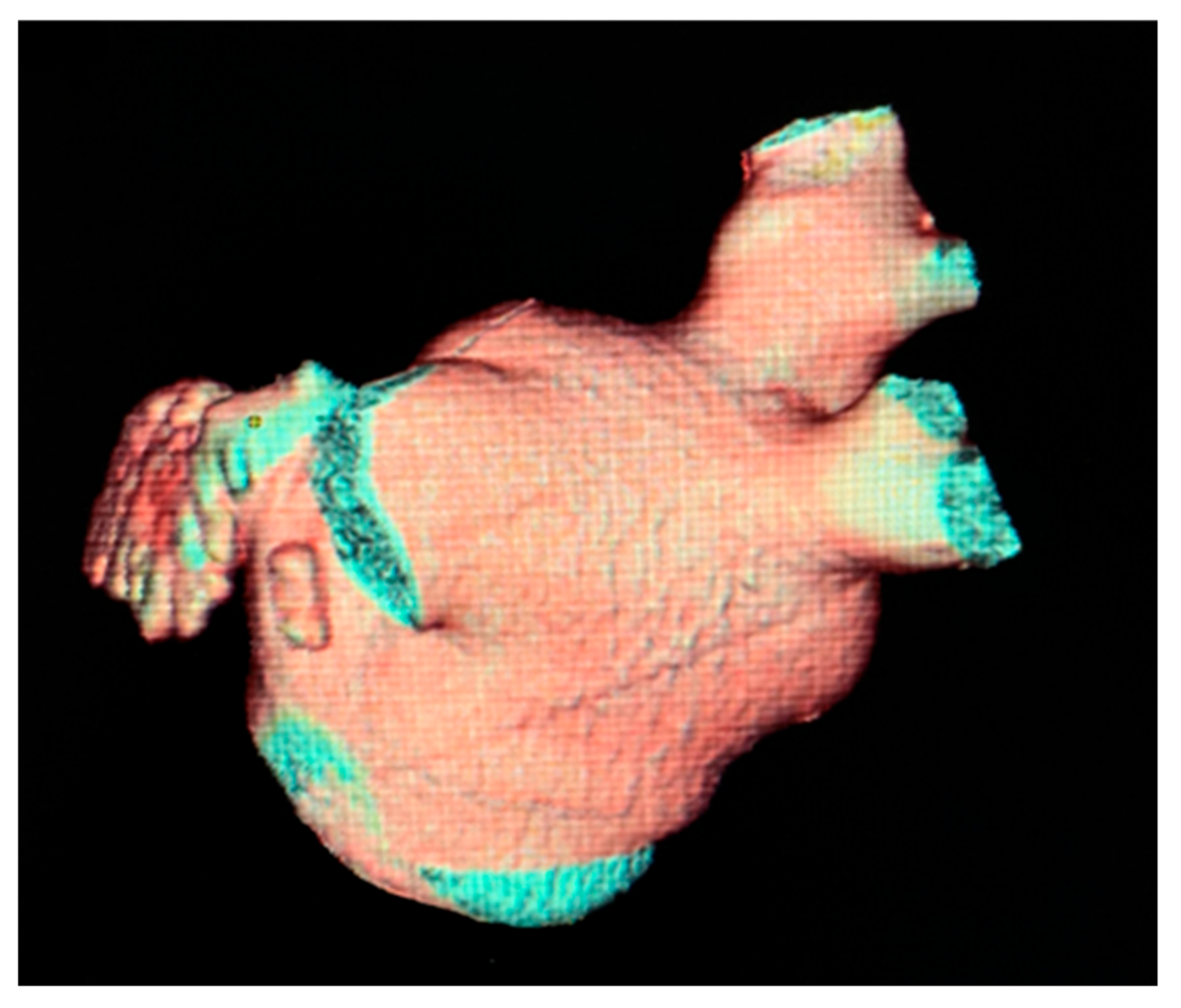 Diagnostics 13 02911 g002