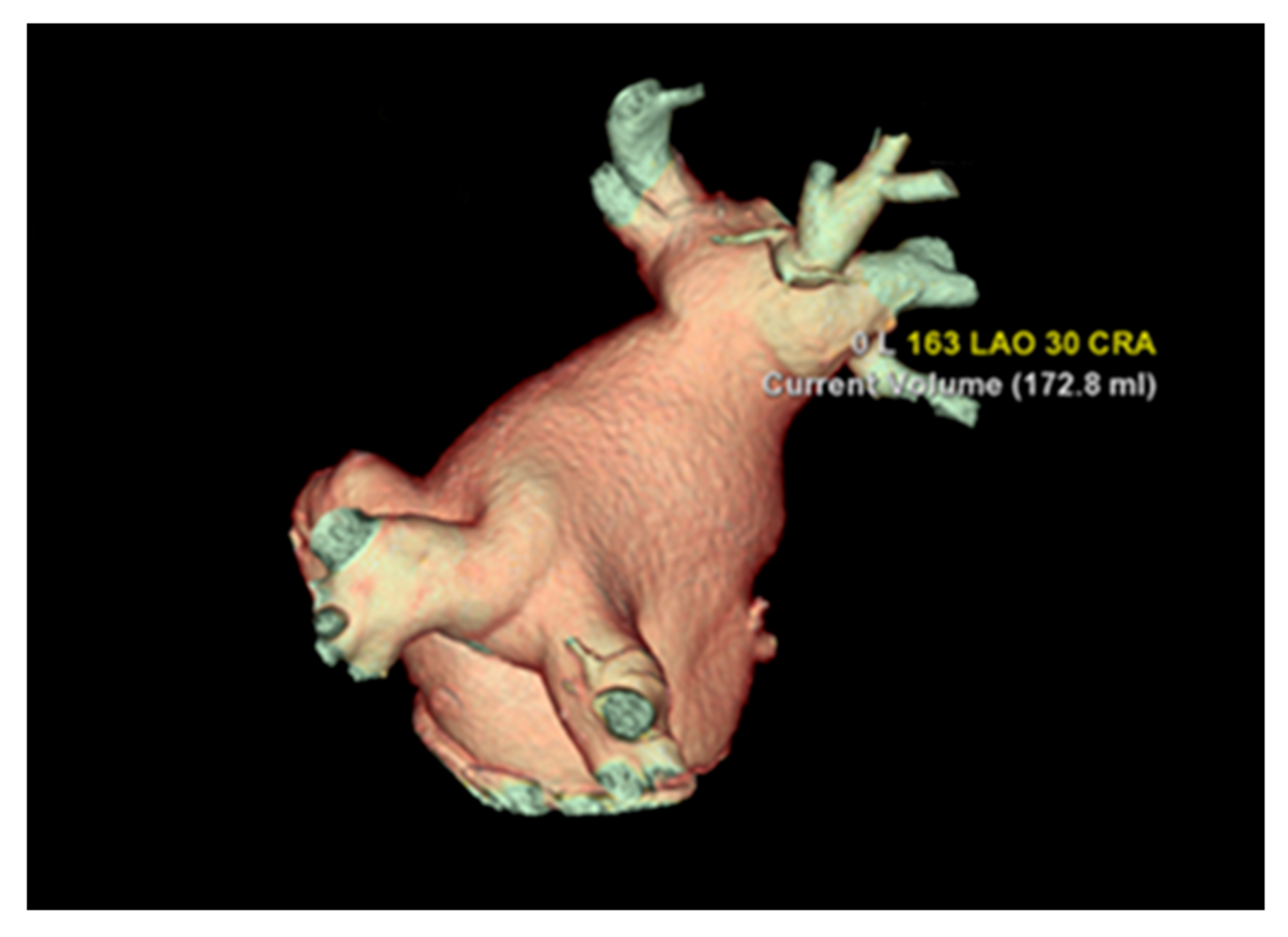 Diagnostics 13 02911 g003