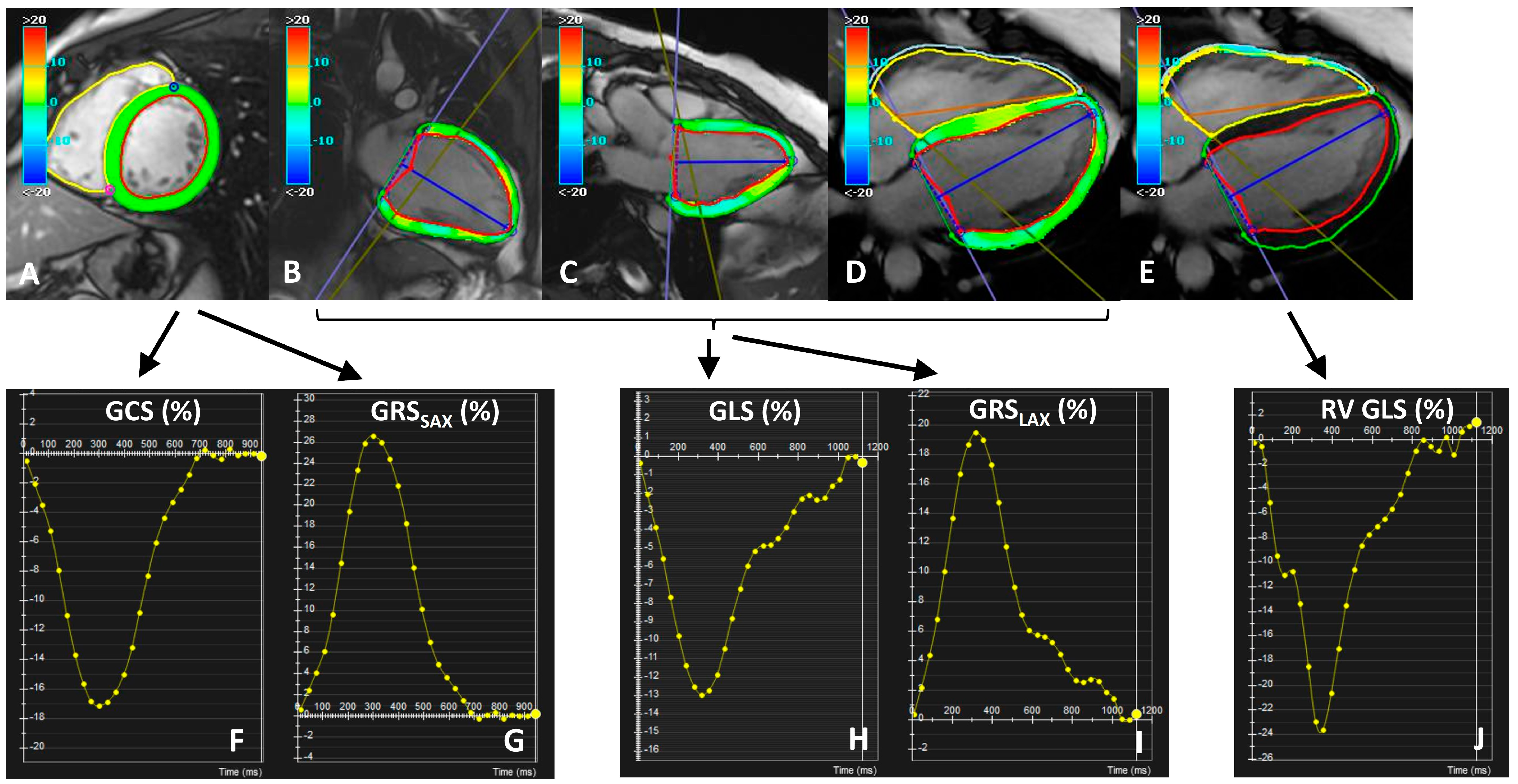 Diagnostics 13 02912 g001