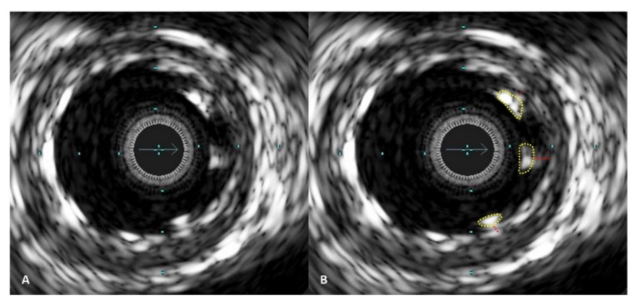 Diagnostics 13 02921 g004