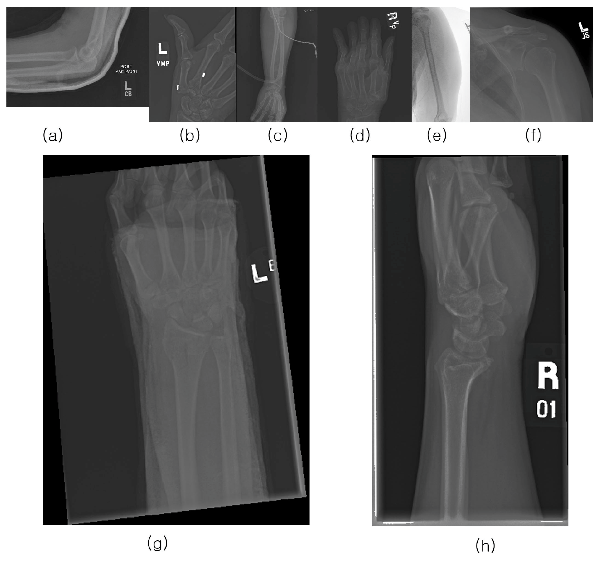 Diagnostics 13 02927 g001