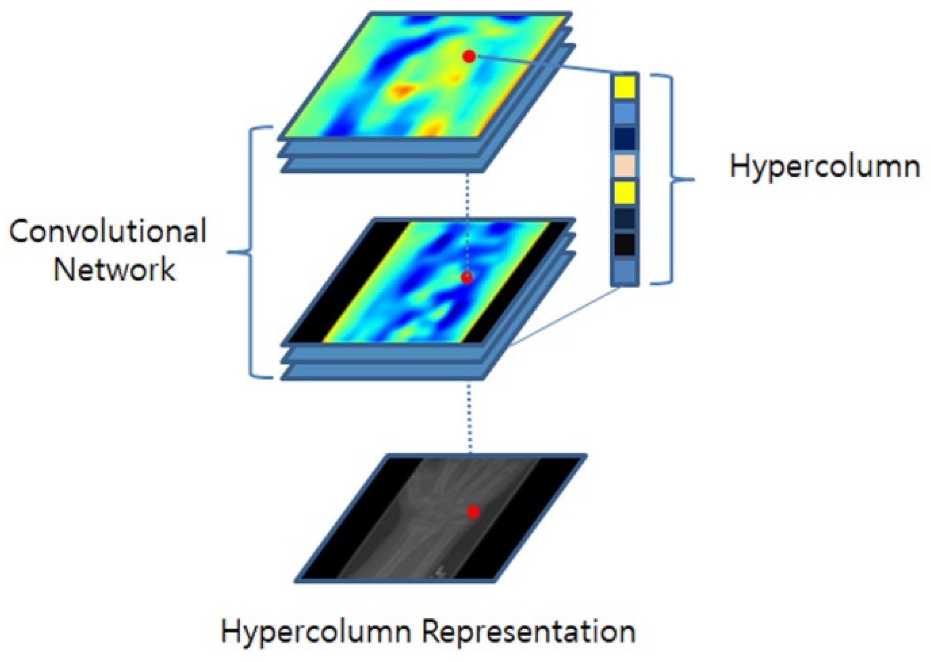 Diagnostics 13 02927 g004