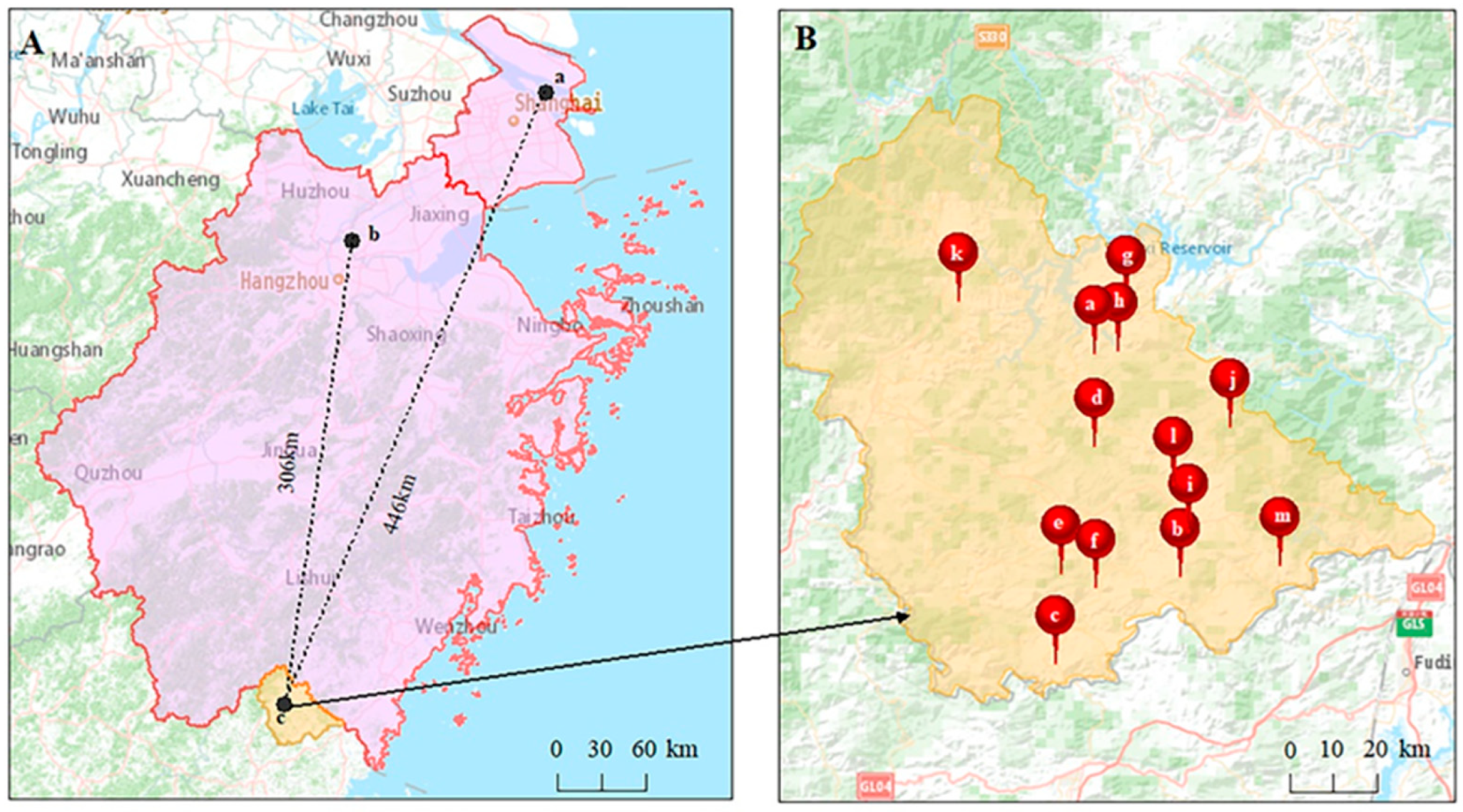 Diagnostics 13 02932 g001