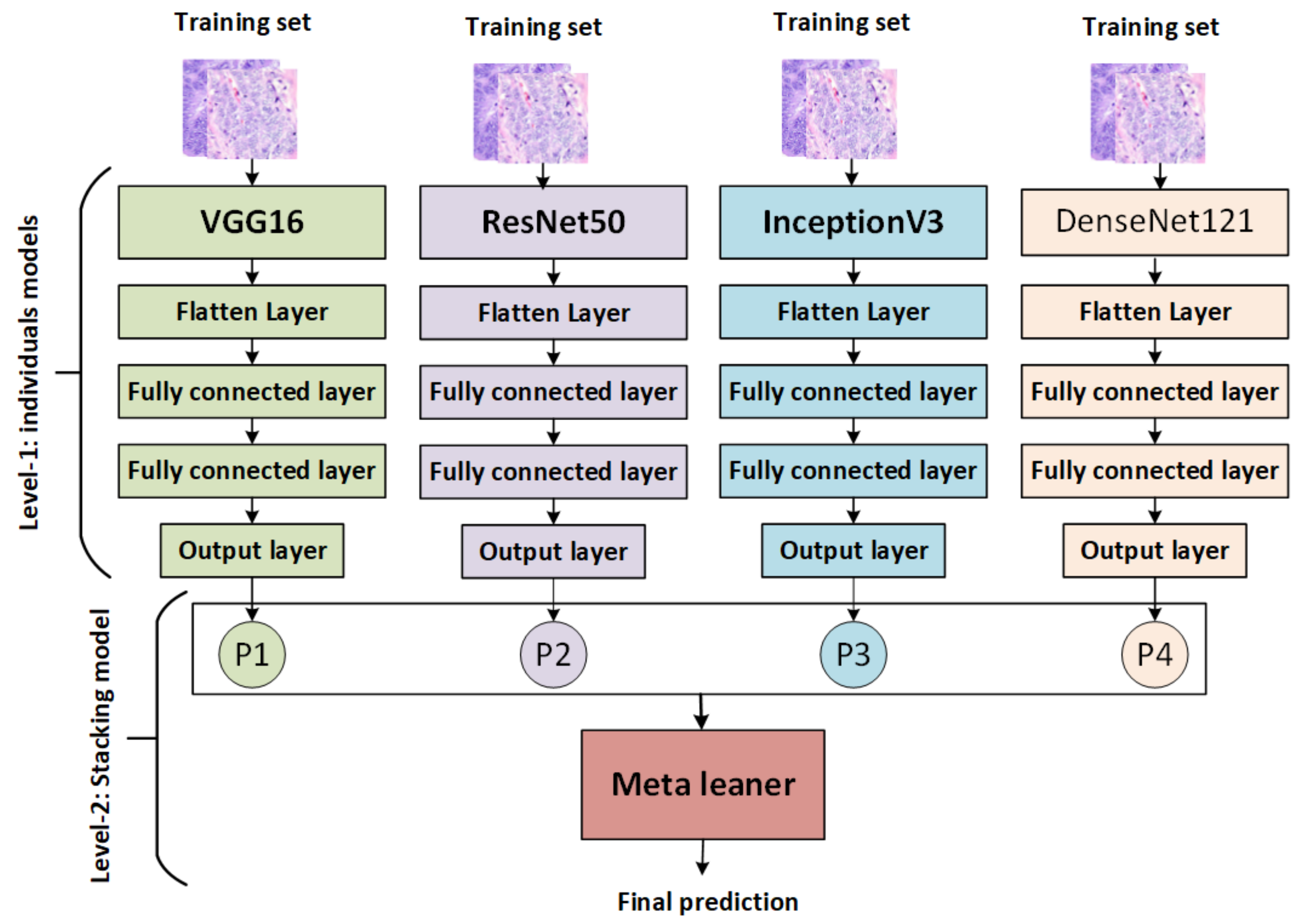 Diagnostics 13 02939 g002