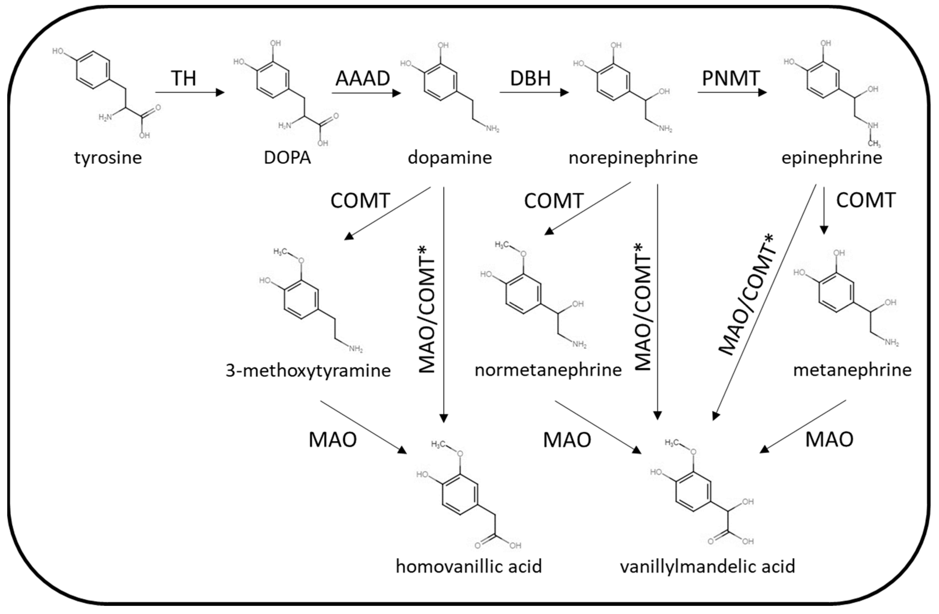 Diagnostics 13 02940 g002 Diagnostics 13 02940 g002