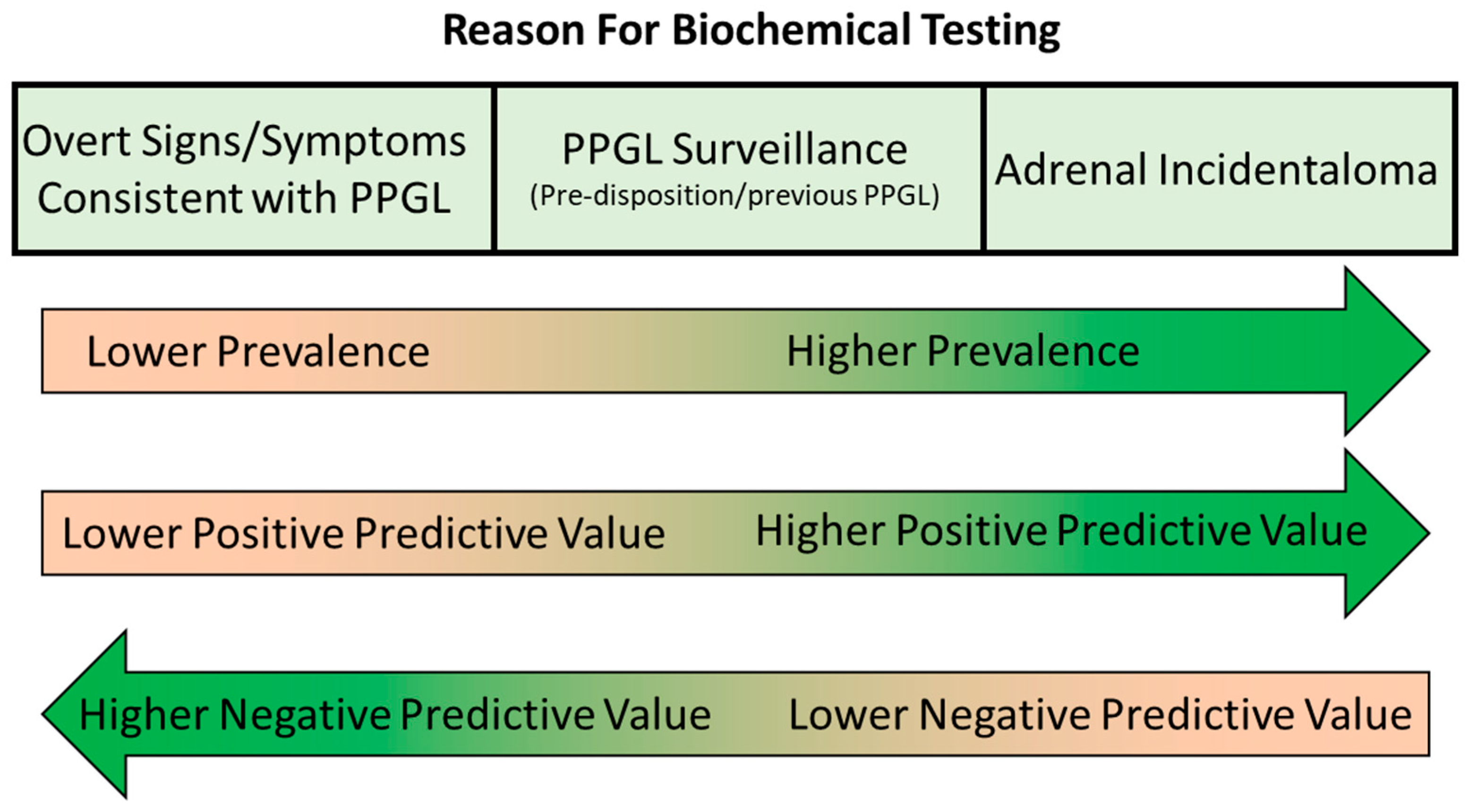 Diagnostics 13 02940 g004 Diagnostics 13 02940 g004