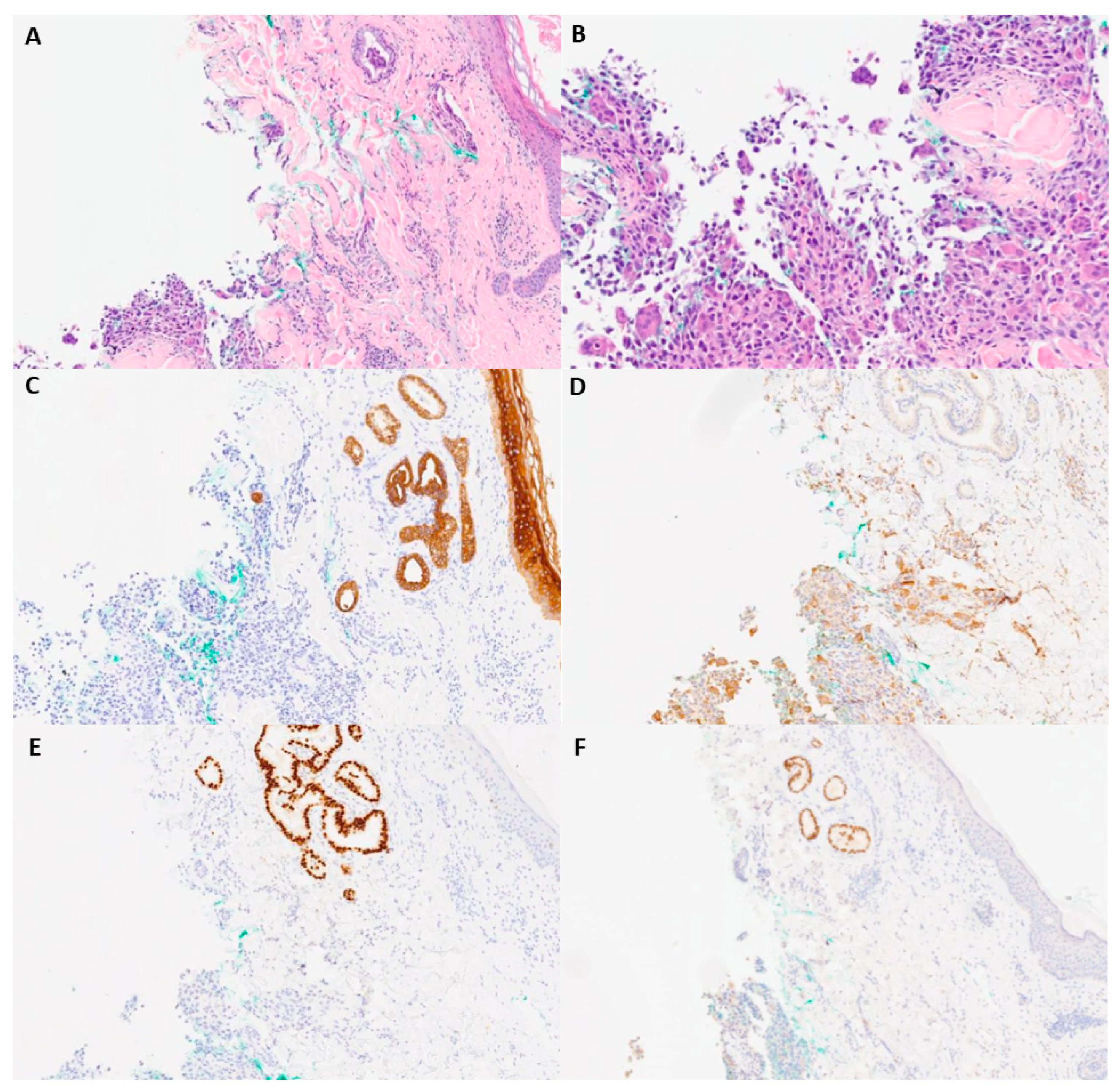Diagnostics 13 02941 g002